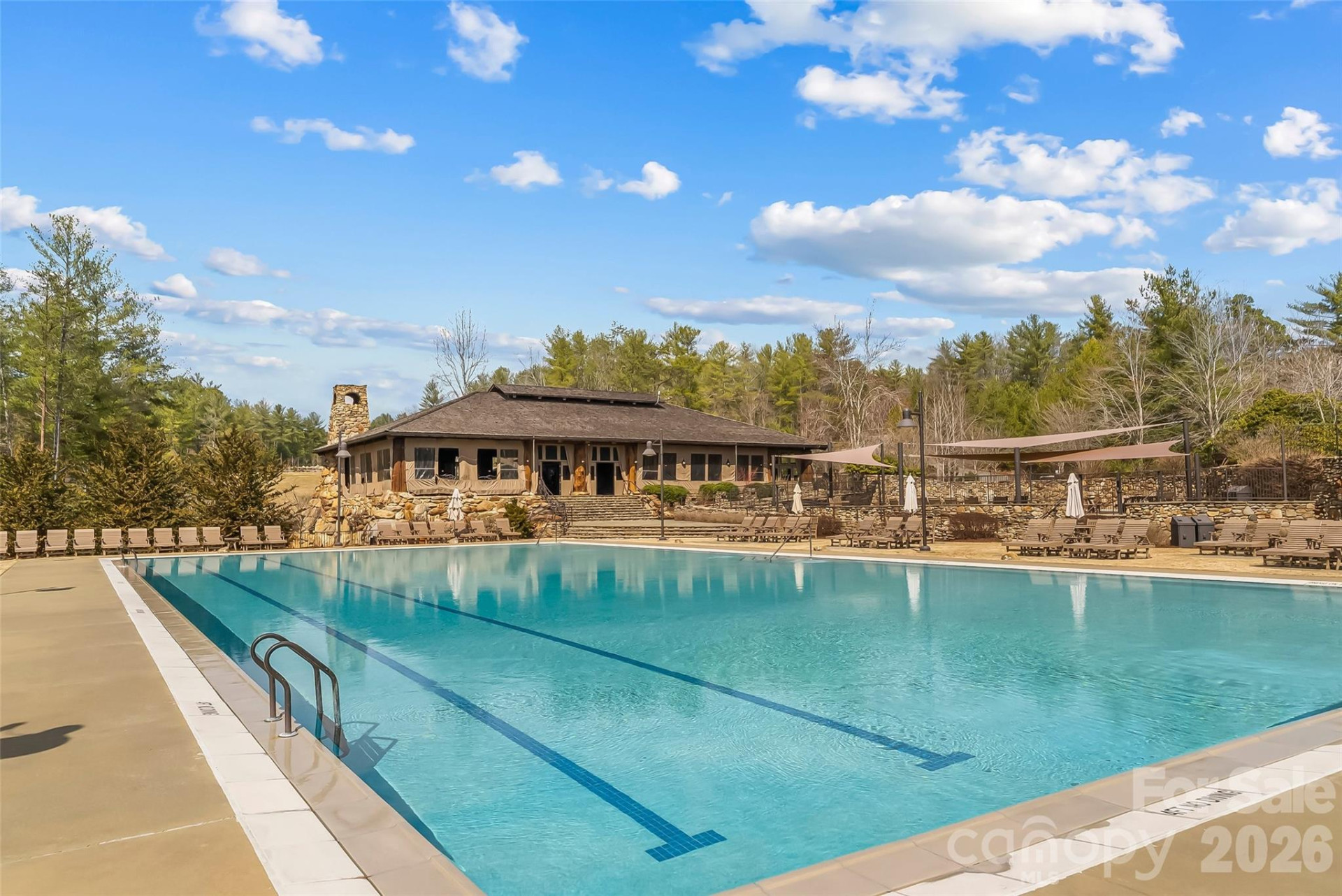 1267 Ten Whigs Ridge - Photo 47