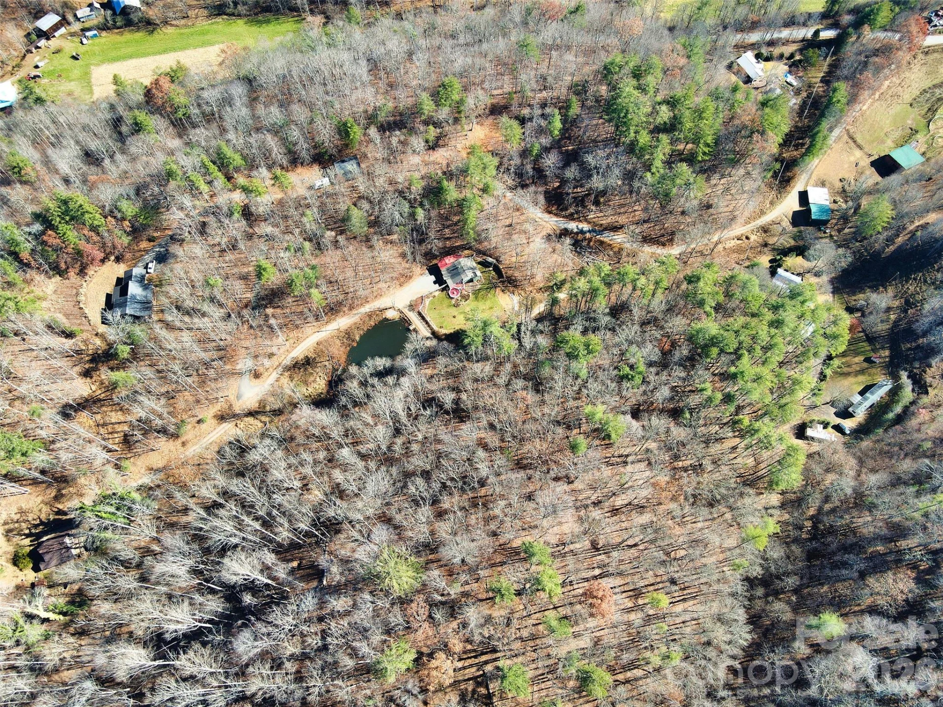 TBD Rocking Horse Trail - Photo 11