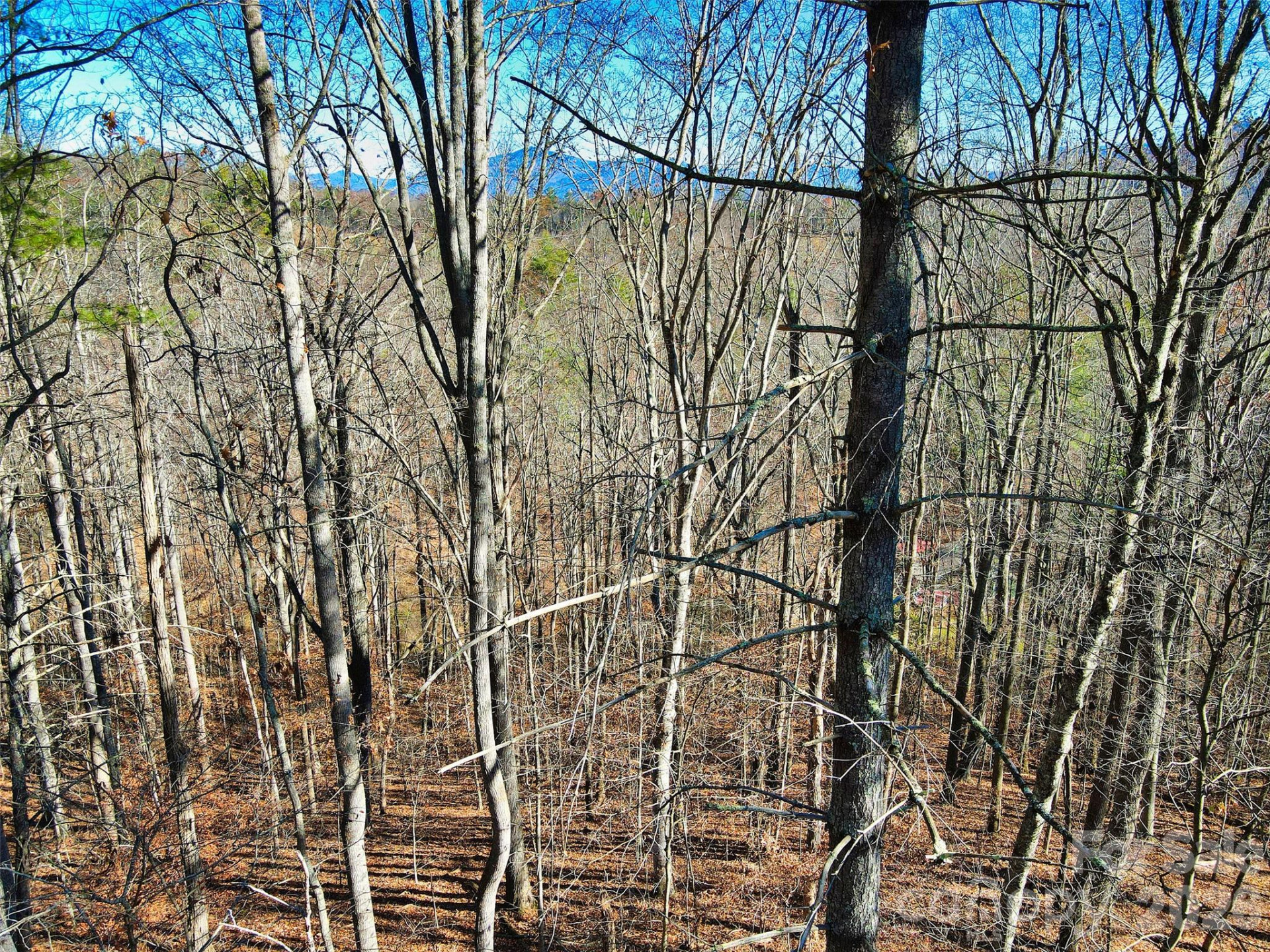 TBD Rocking Horse Trail - Photo 12