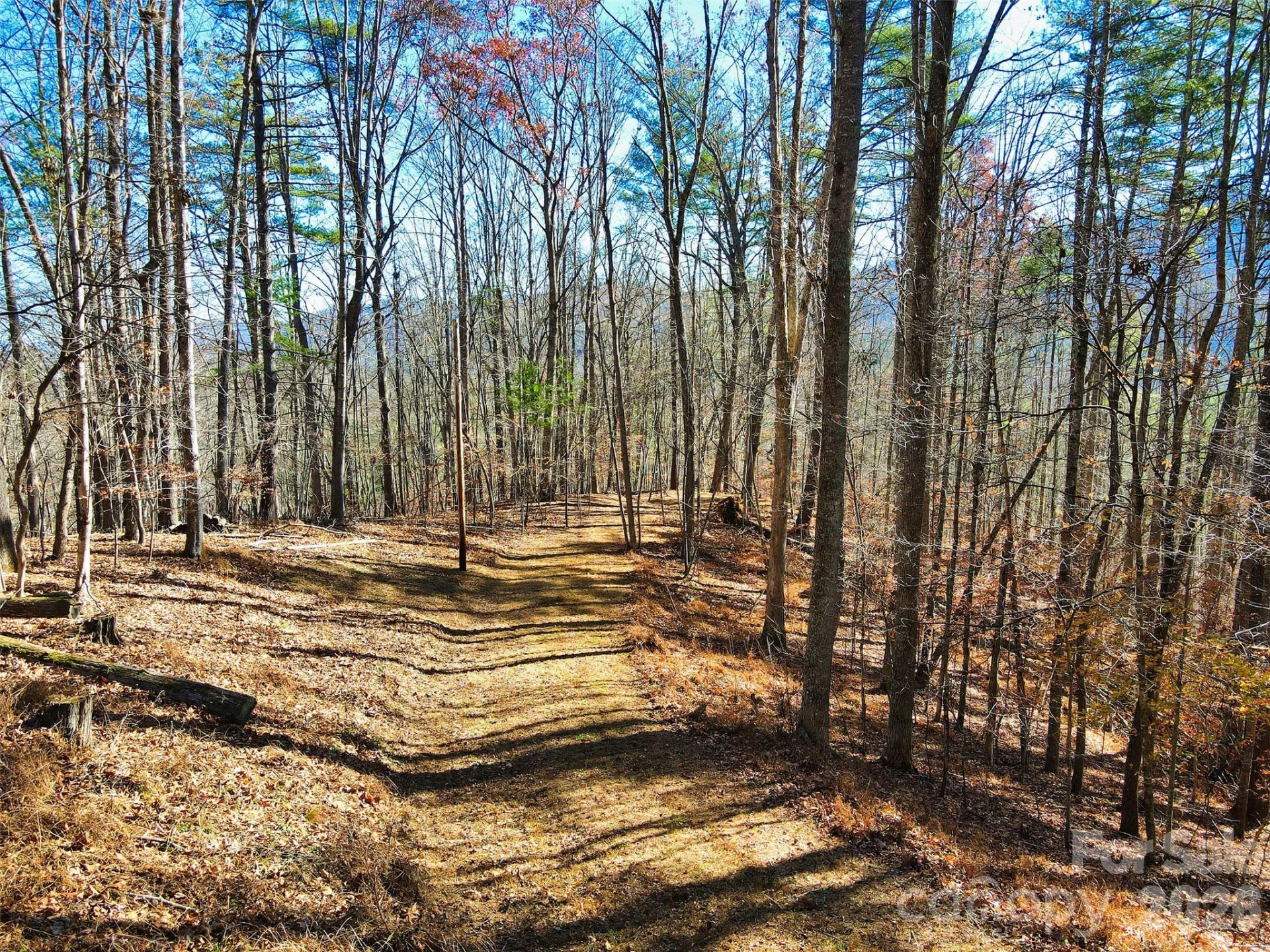 TBD Rocking Horse Trail - Photo 13