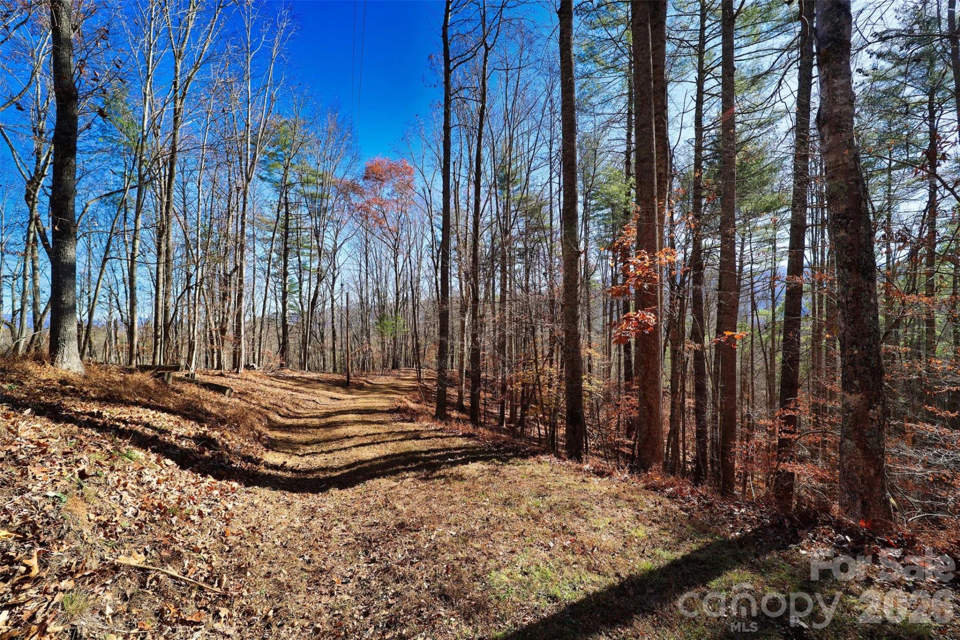 TBD Rocking Horse Trail - Photo 4