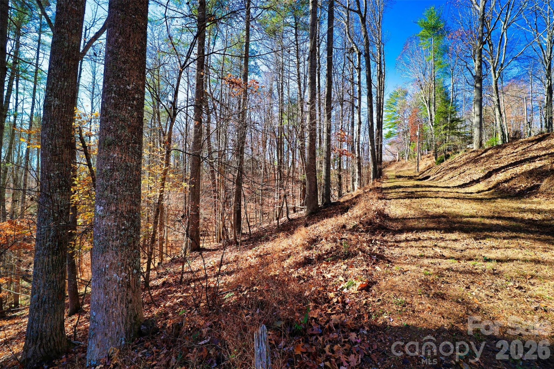 TBD Rocking Horse Trail - Photo 5
