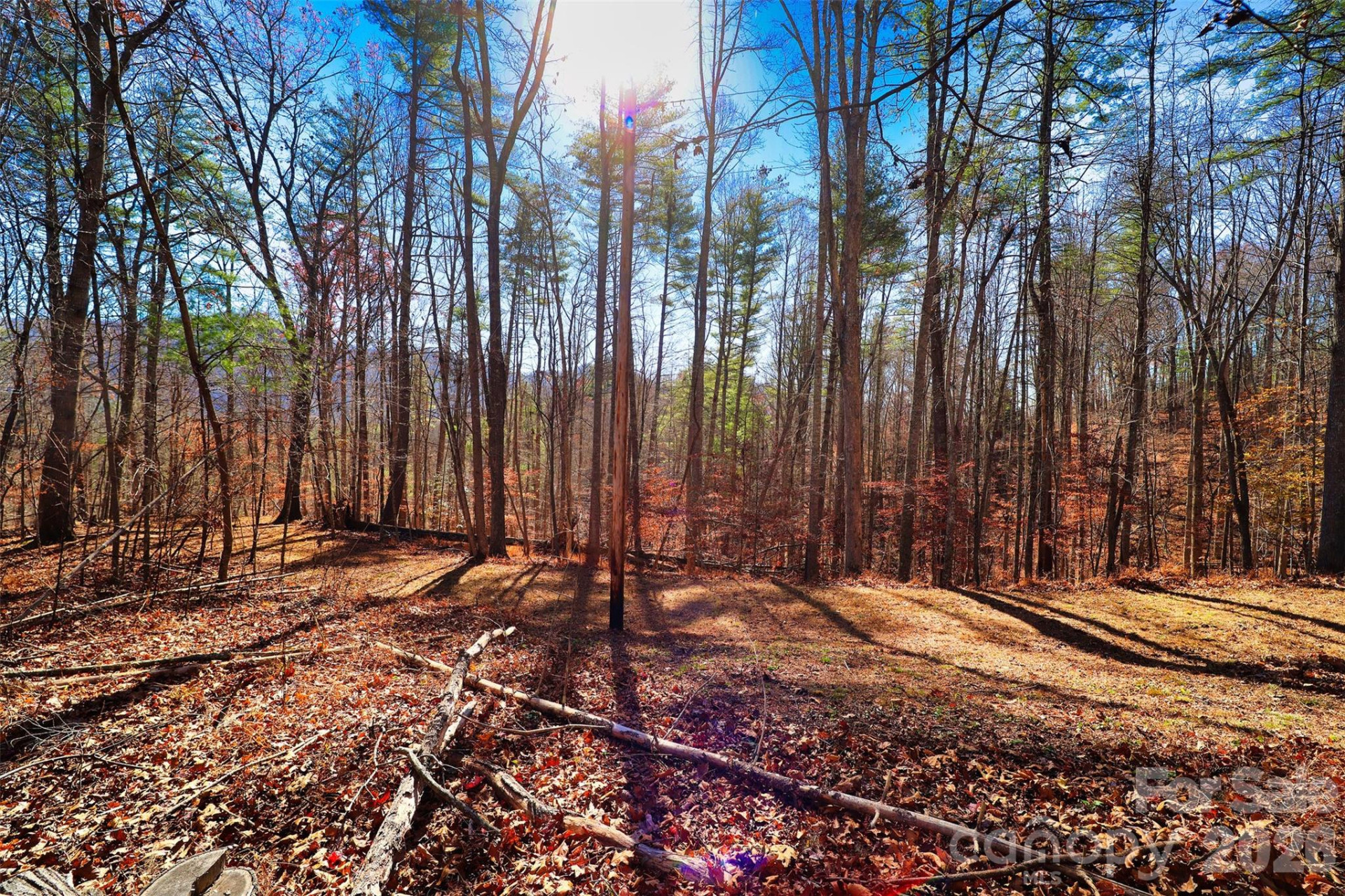 TBD Rocking Horse Trail - Photo 7