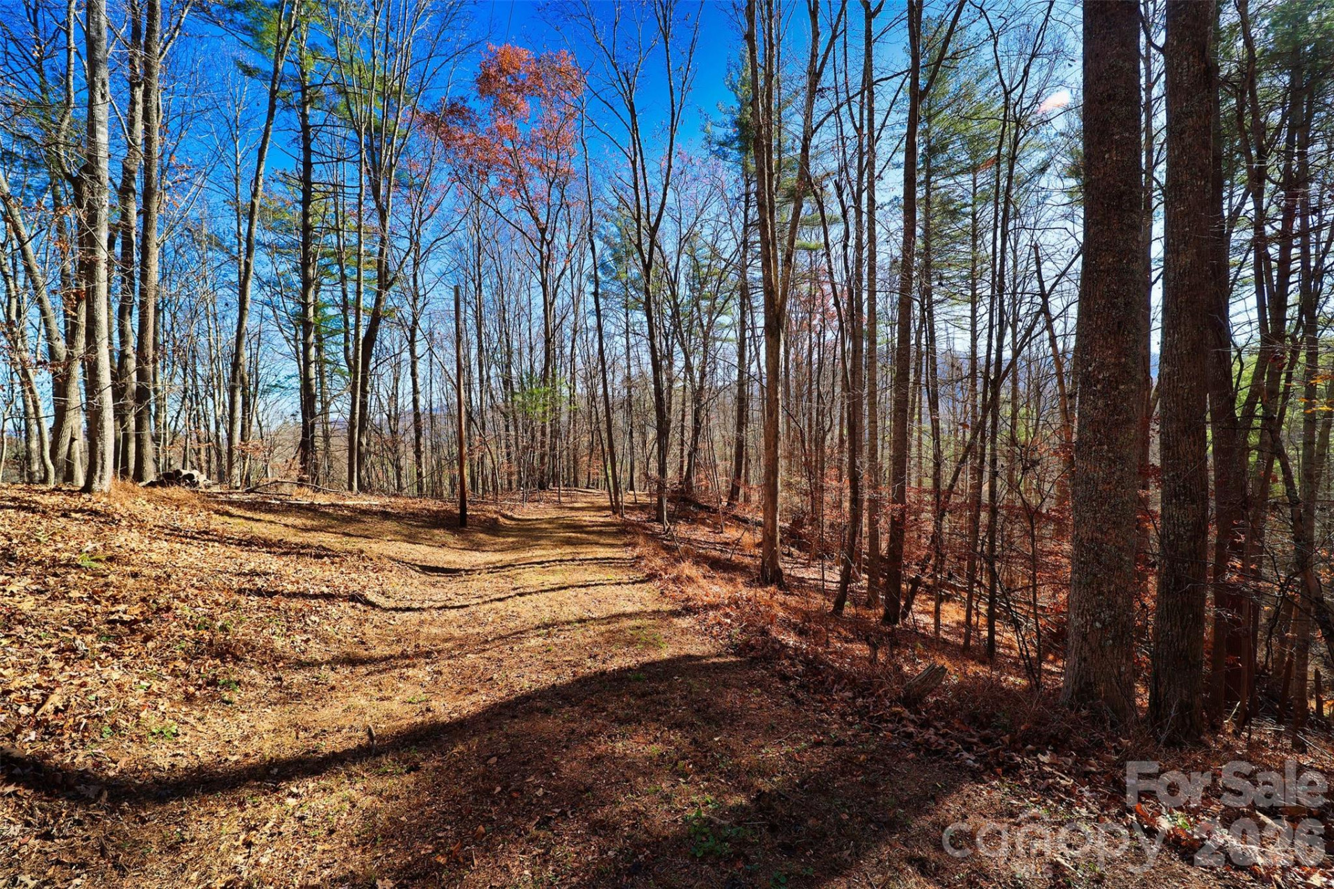 TBD Rocking Horse Trail - Photo 8