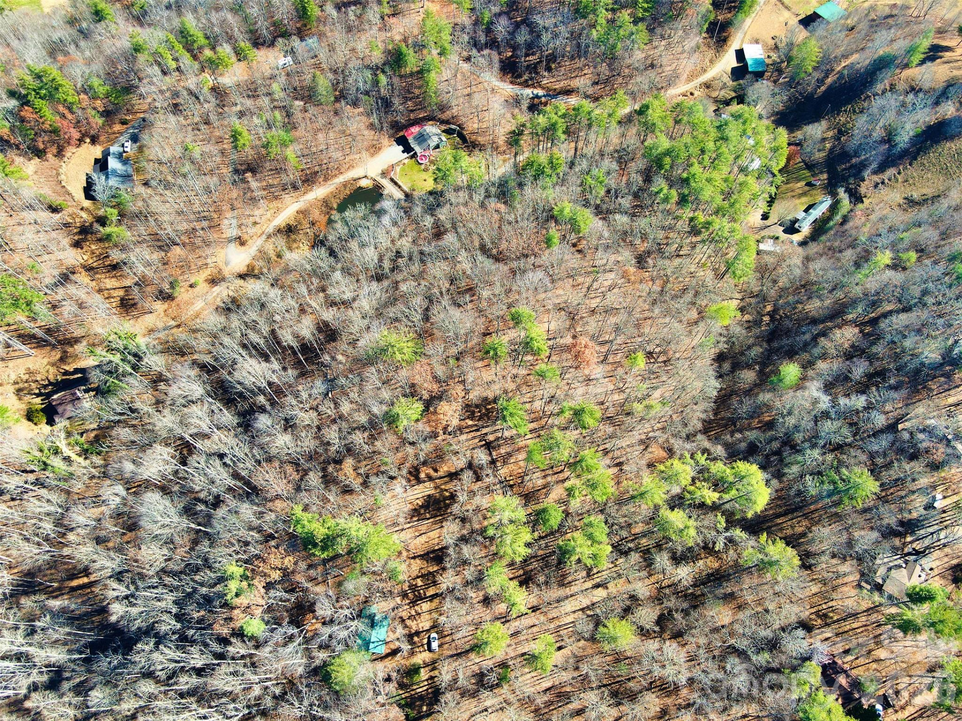 TBD Rocking Horse Trail - Photo 10