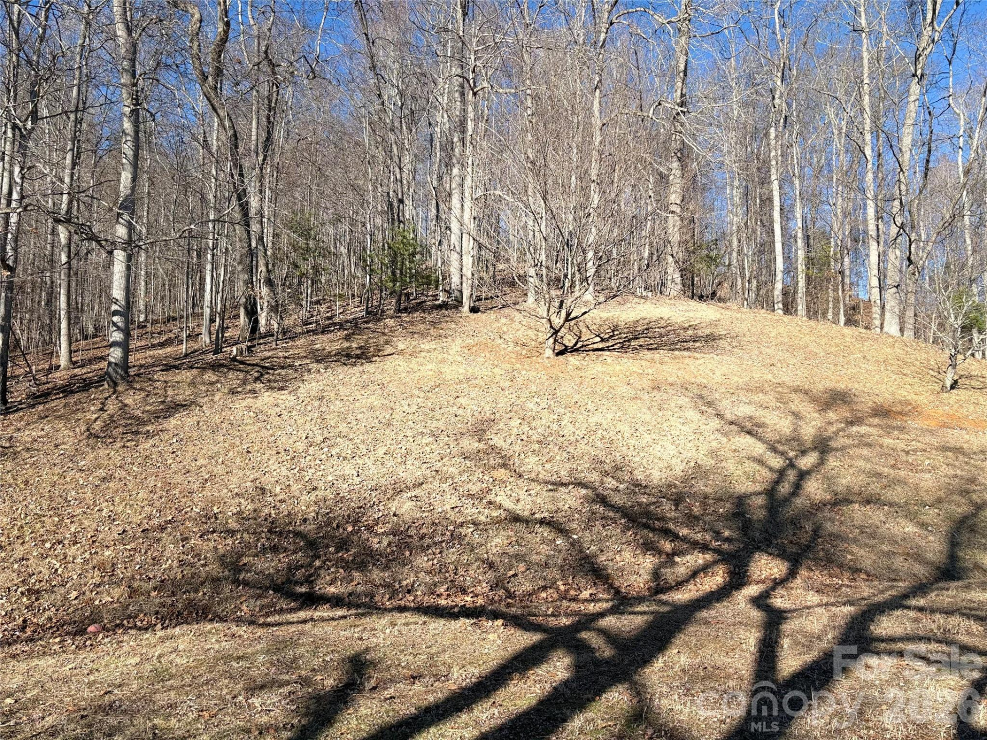 219 Rocking Horse Trail - Photo 34