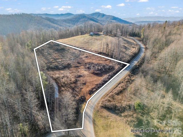9999 Pinnacle Mountain Road, Zirconia, NC, 28790