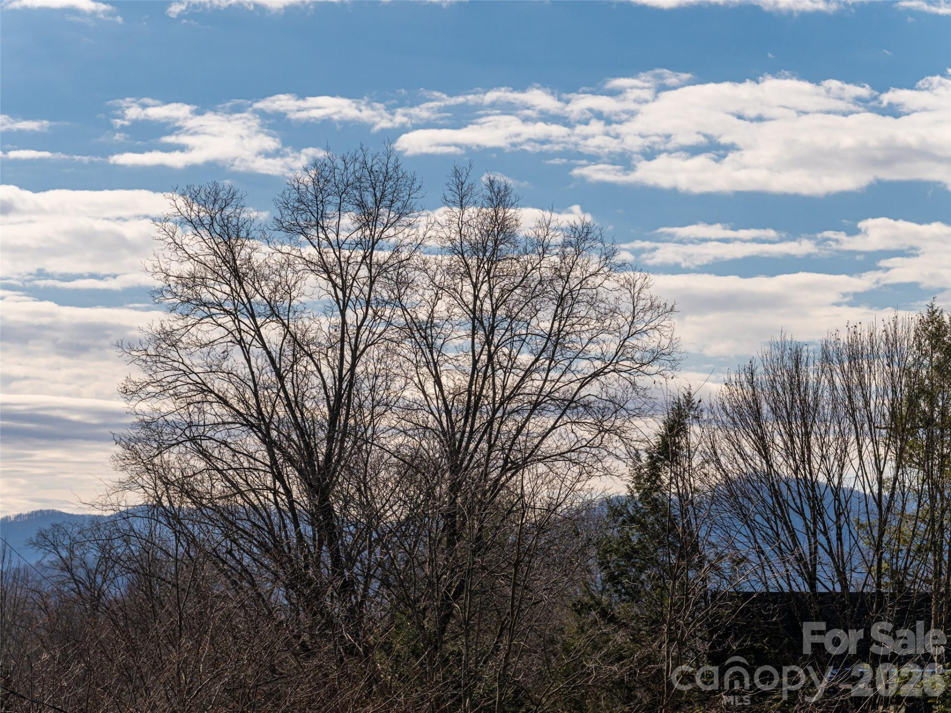 89 Vance Crescent Extension - Photo 48