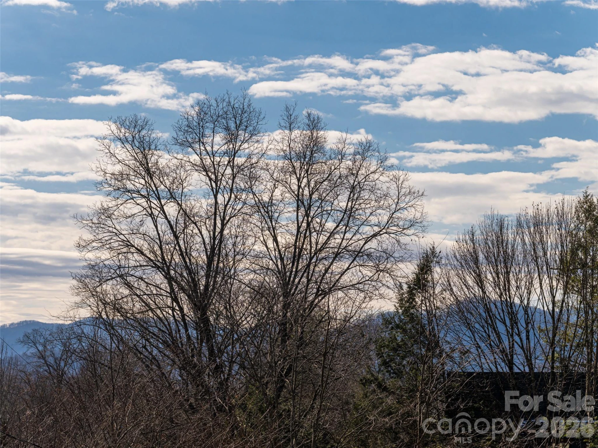89 Vance Crescent Extension - Photo 48