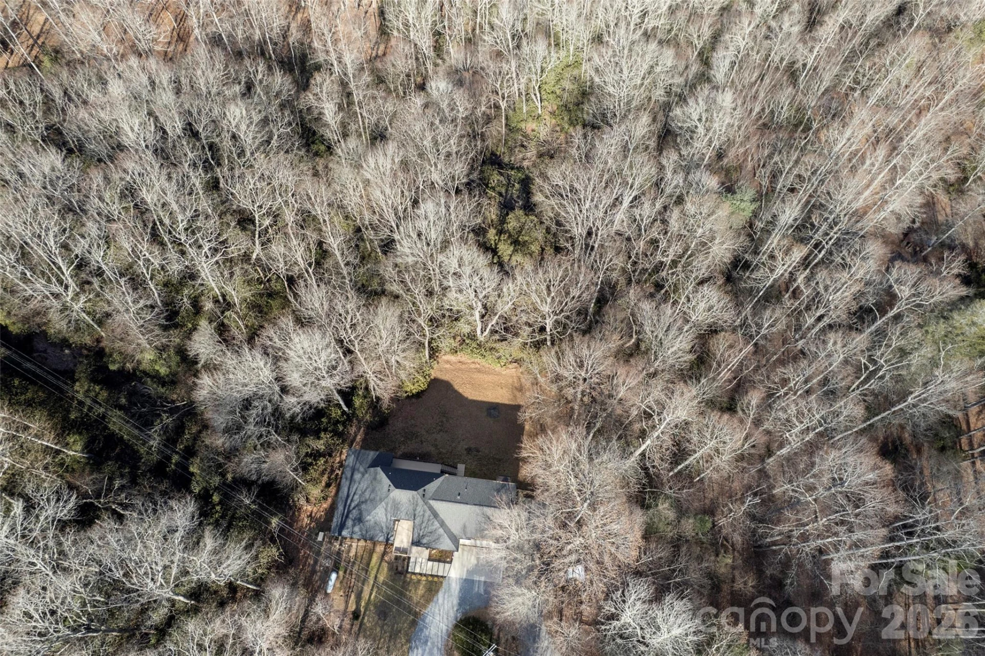 1202 Davis Mountain Road - Photo 37