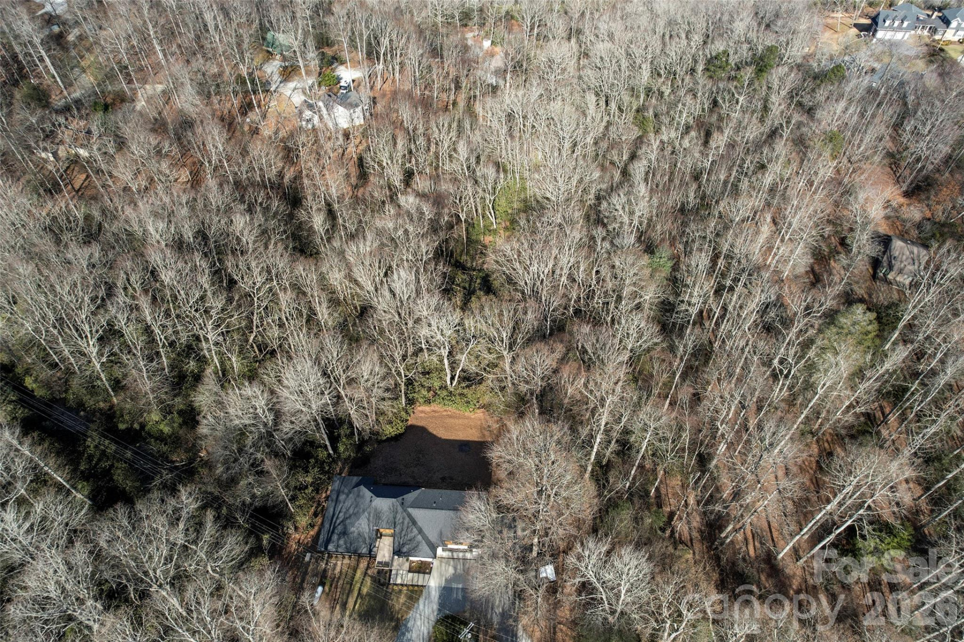 1202 Davis Mountain Road - Photo 36