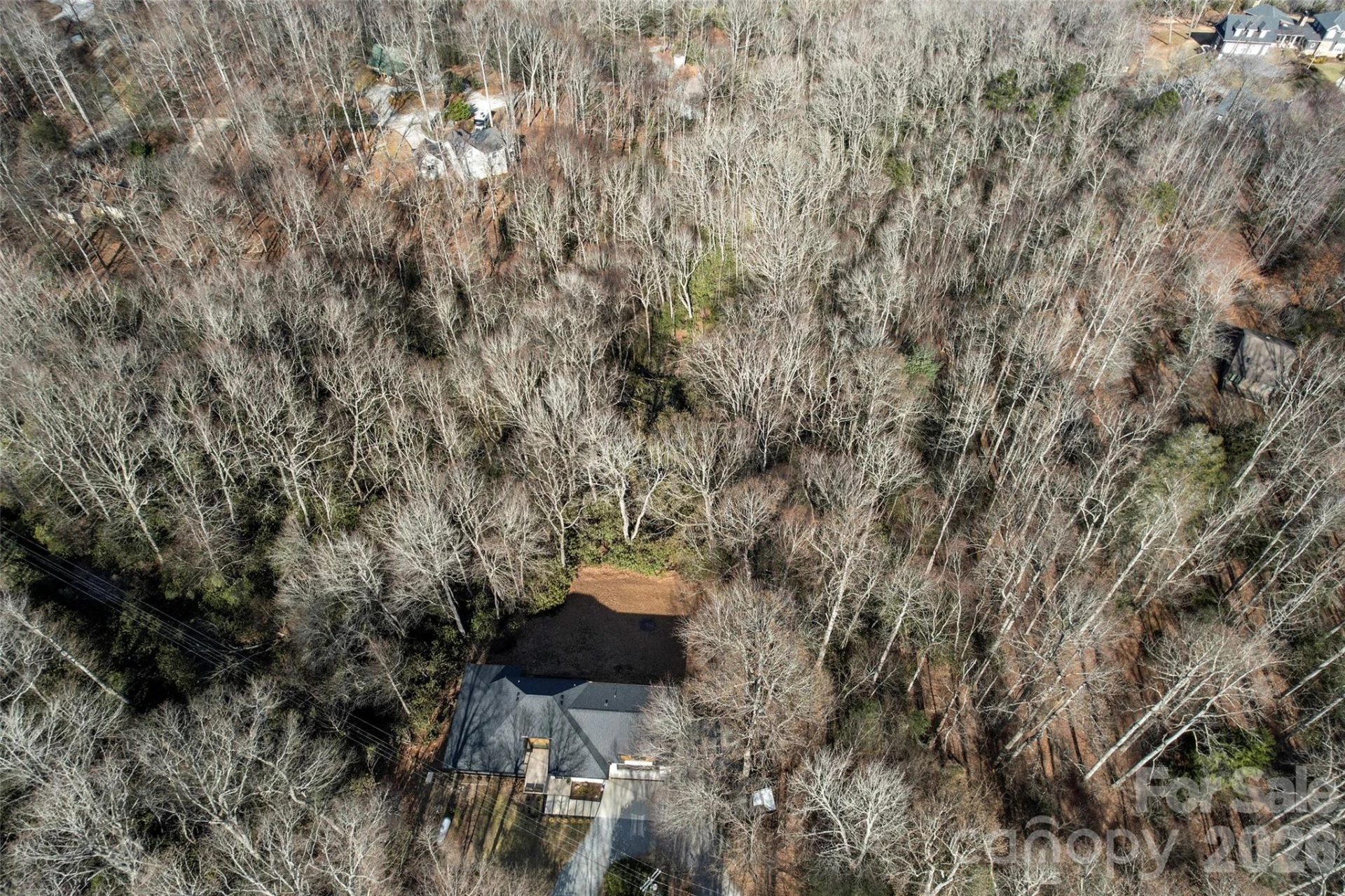 1202 Davis Mountain Road - Photo 38