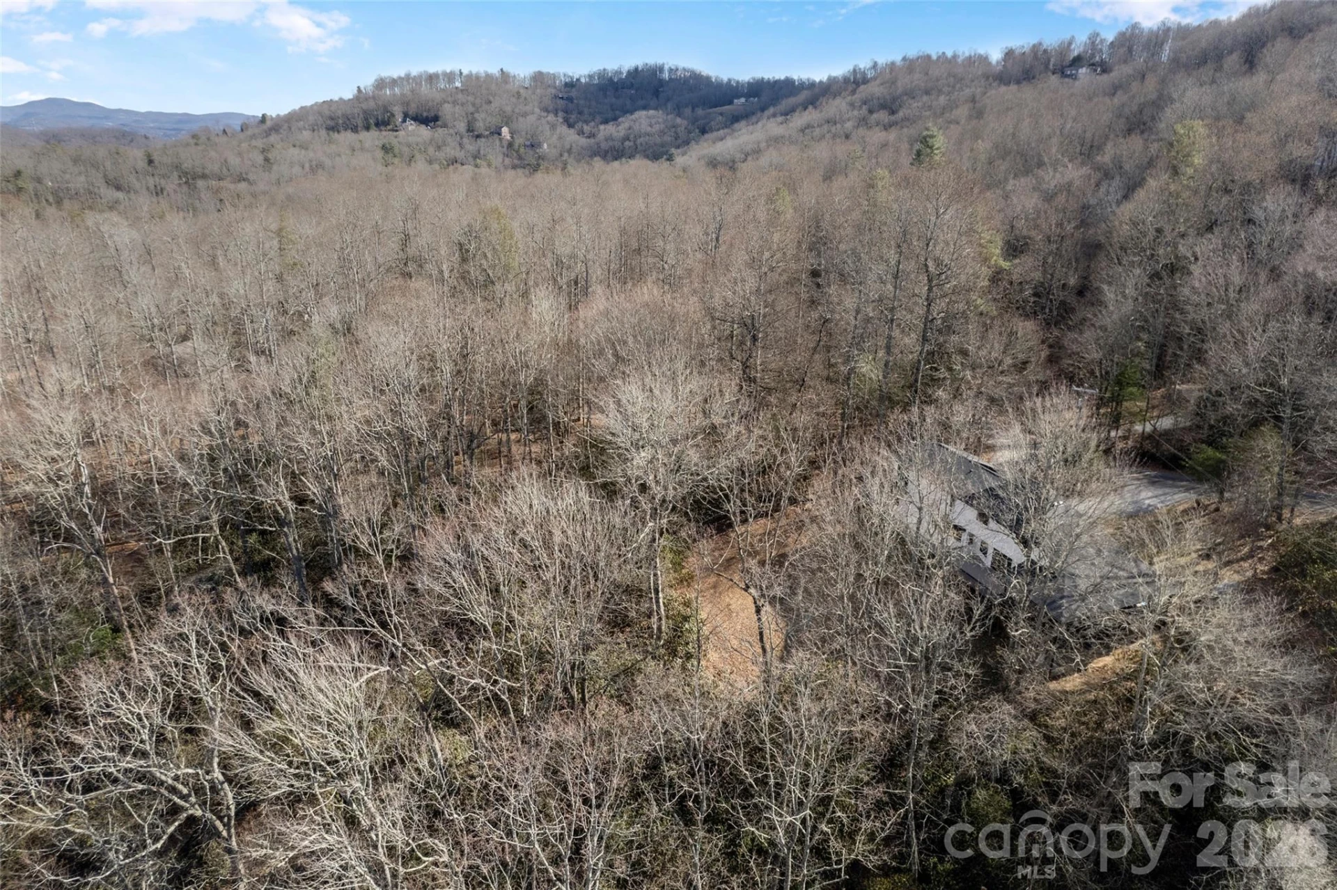 1202 Davis Mountain Road - Photo 40