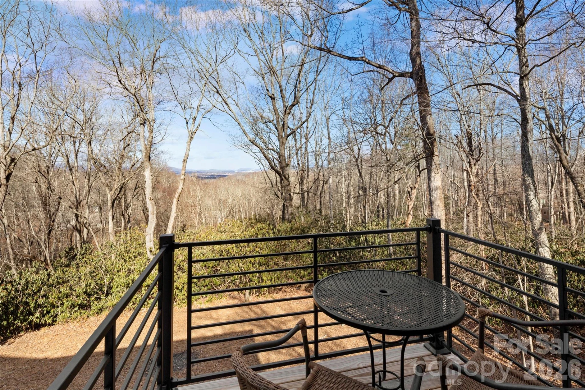 1202 Davis Mountain Road - Photo 6