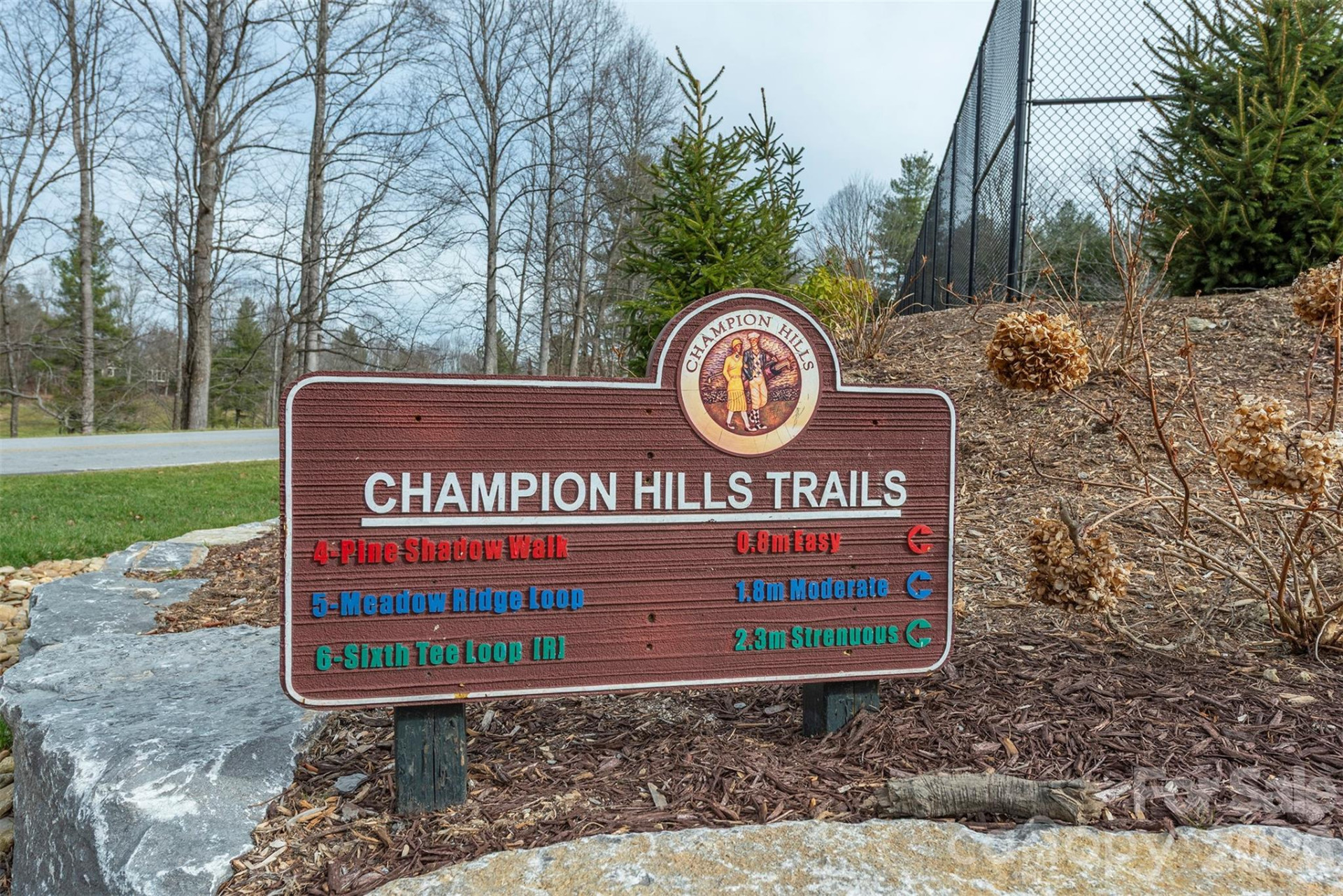 24 Falls Lane #391 - Photo 2