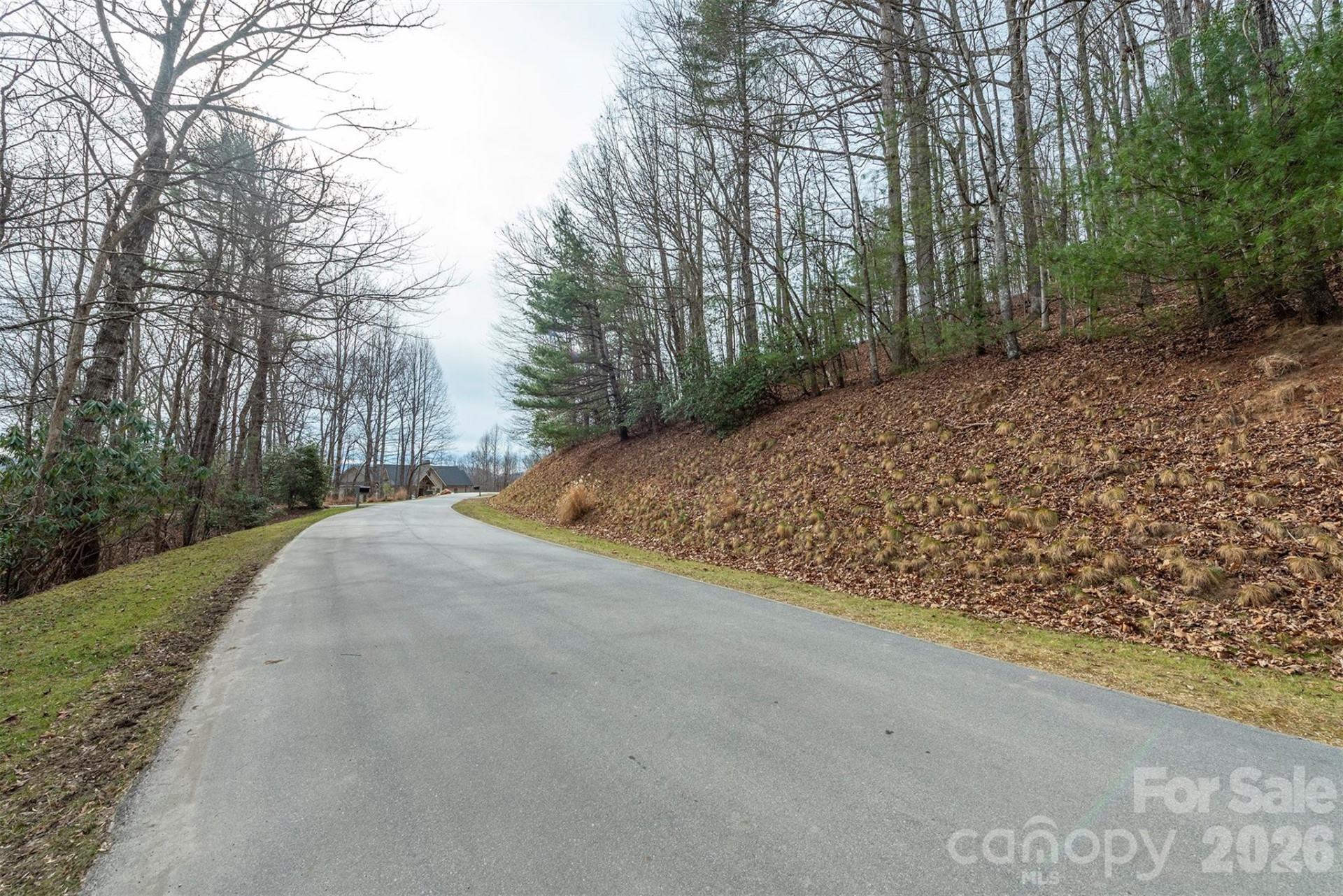 24 Falls Lane #391 - Photo 4