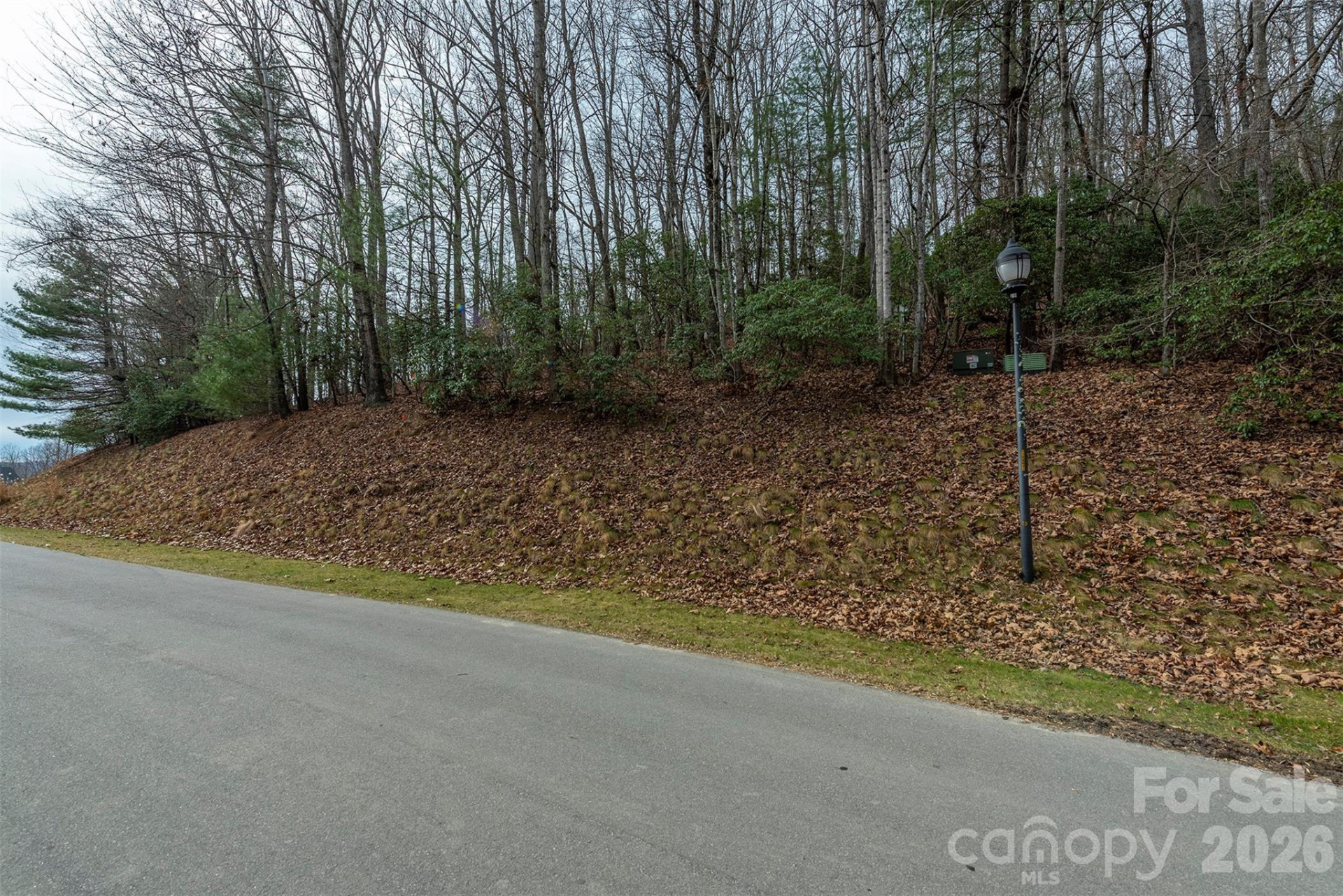 24 Falls Lane #391 - Photo 5