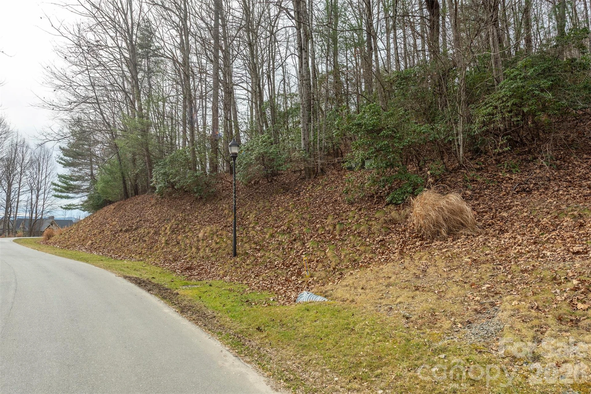 24 Falls Lane #391 - Photo 6