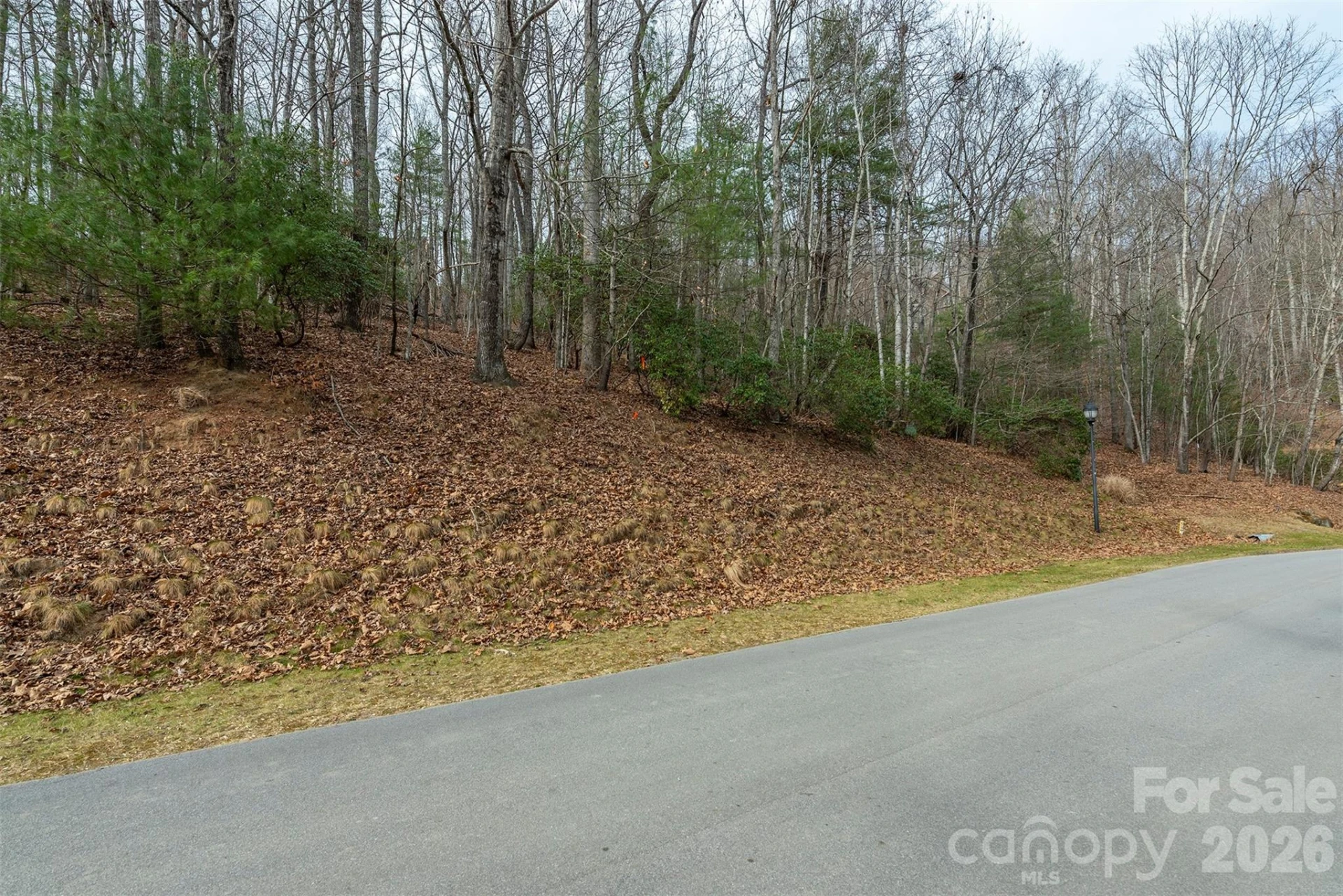 24 Falls Lane #391 - Photo 7