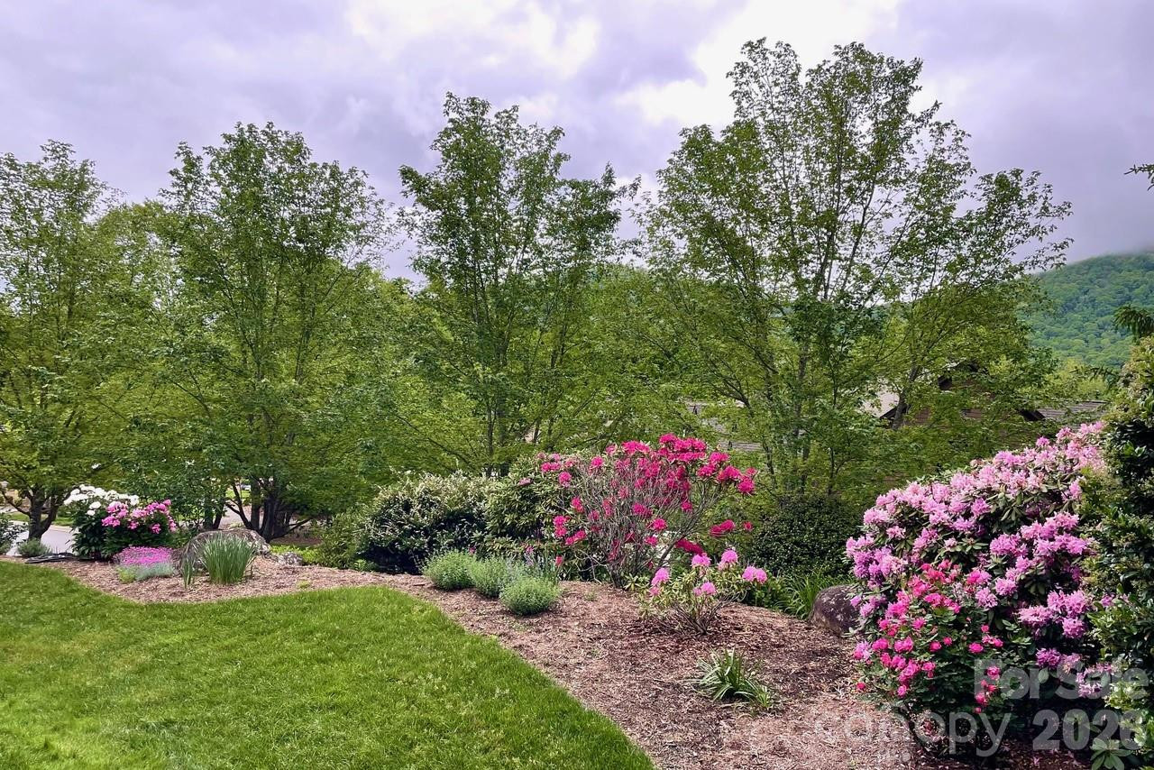 2 Meadow Vista Court - Photo 43
