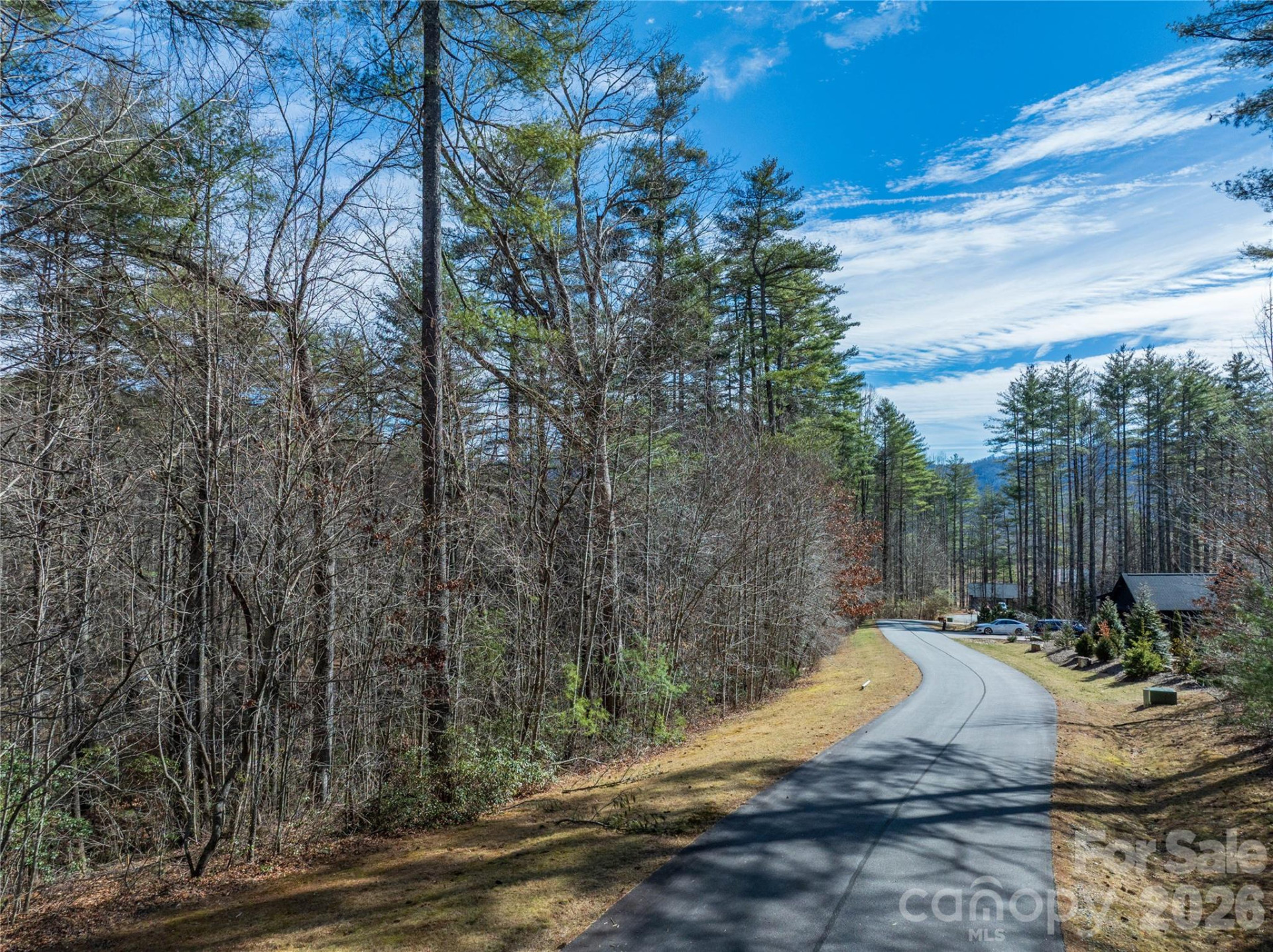 Lot 59 High Hemlock Trail - Photo 12