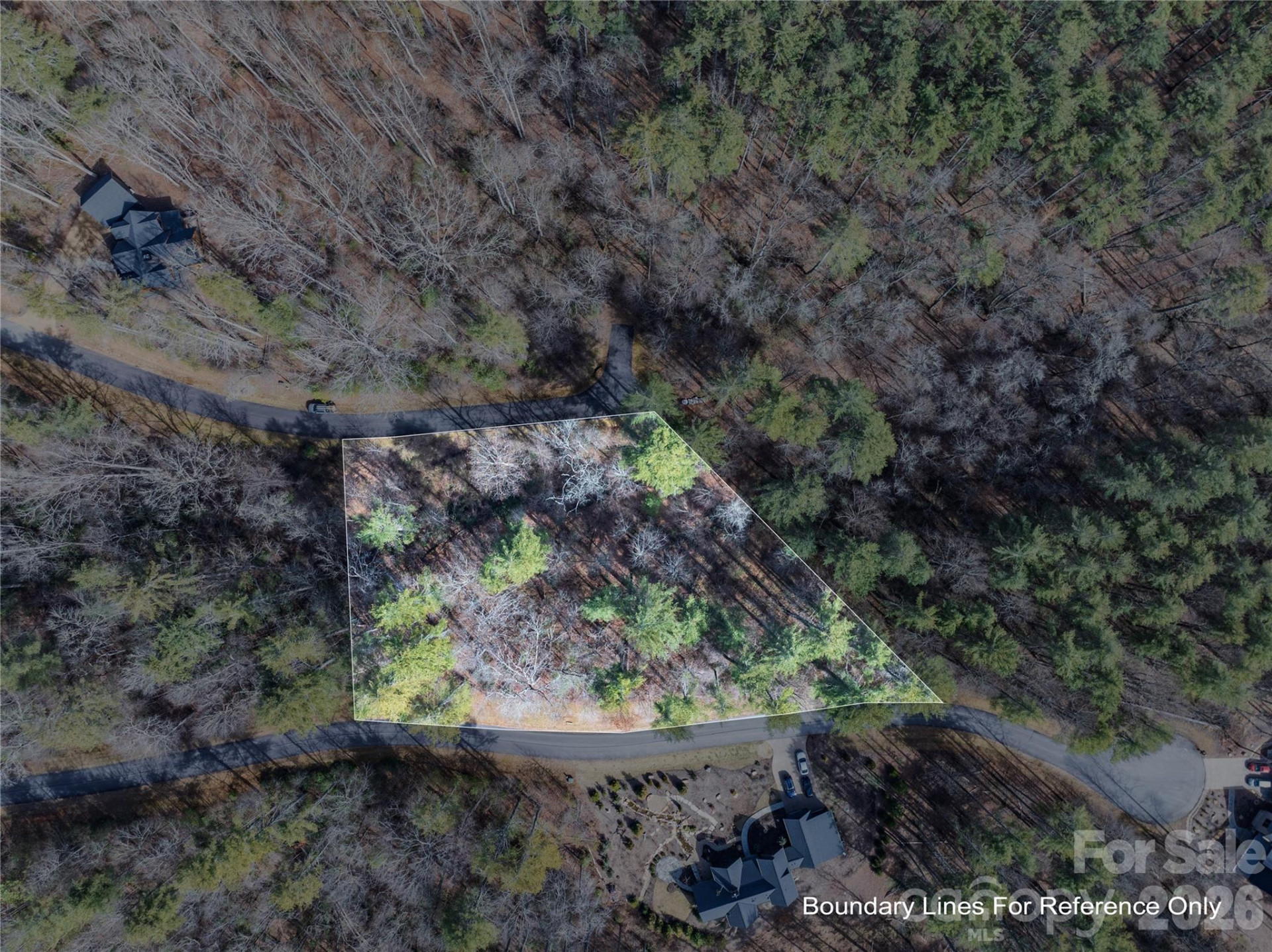 Lot 59 High Hemlock Trail - Photo 13