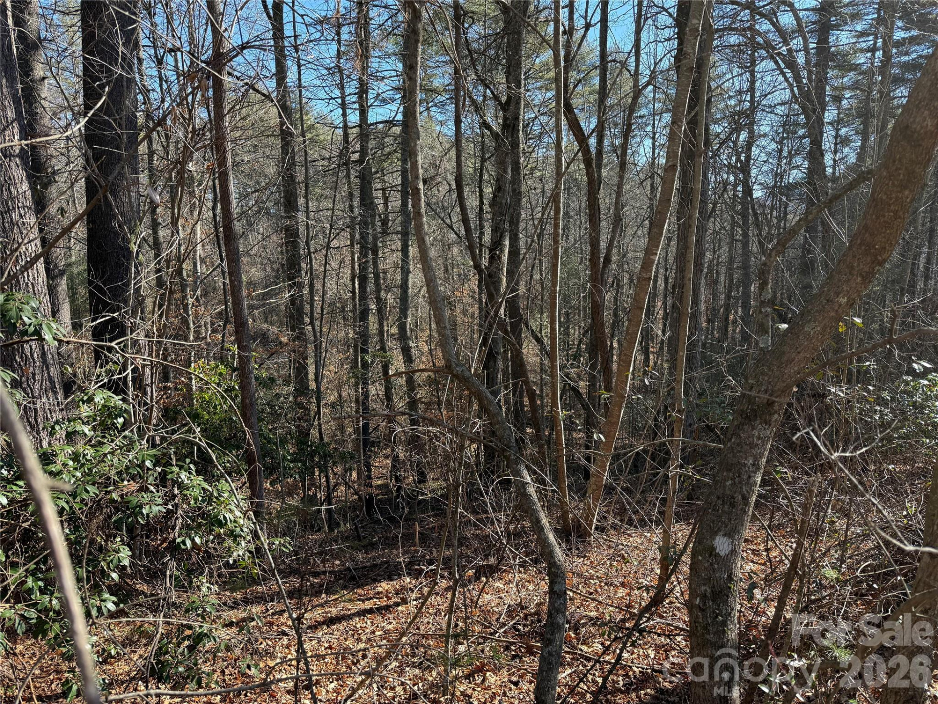 Lot 59 High Hemlock Trail - Photo 5