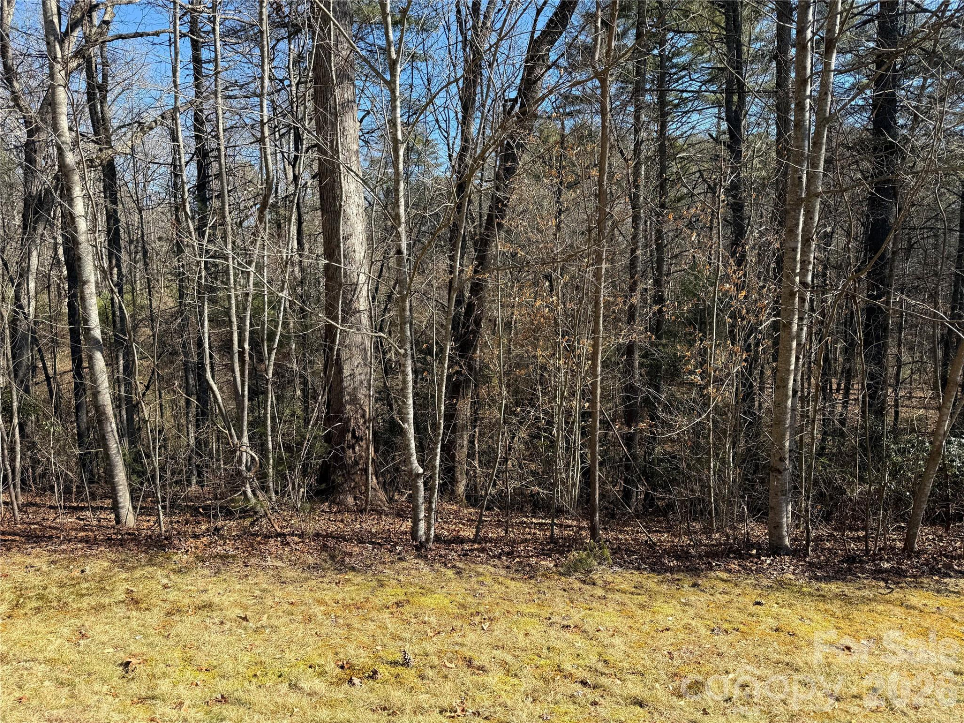 Lot 59 High Hemlock Trail - Photo 6