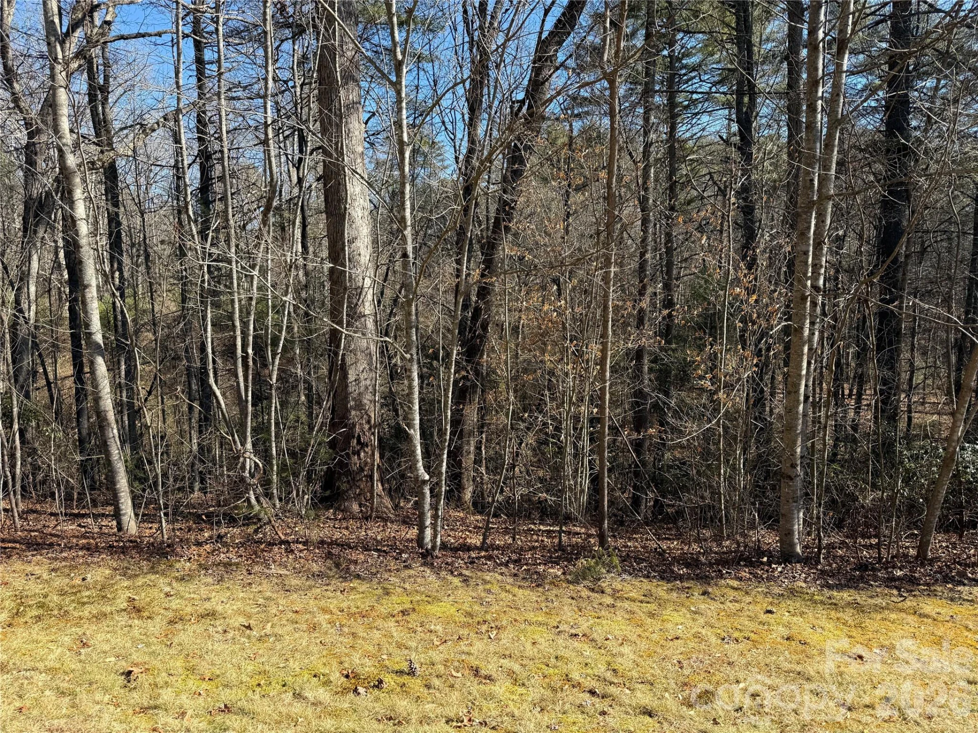 Lot 59 High Hemlock Trail - Photo 6