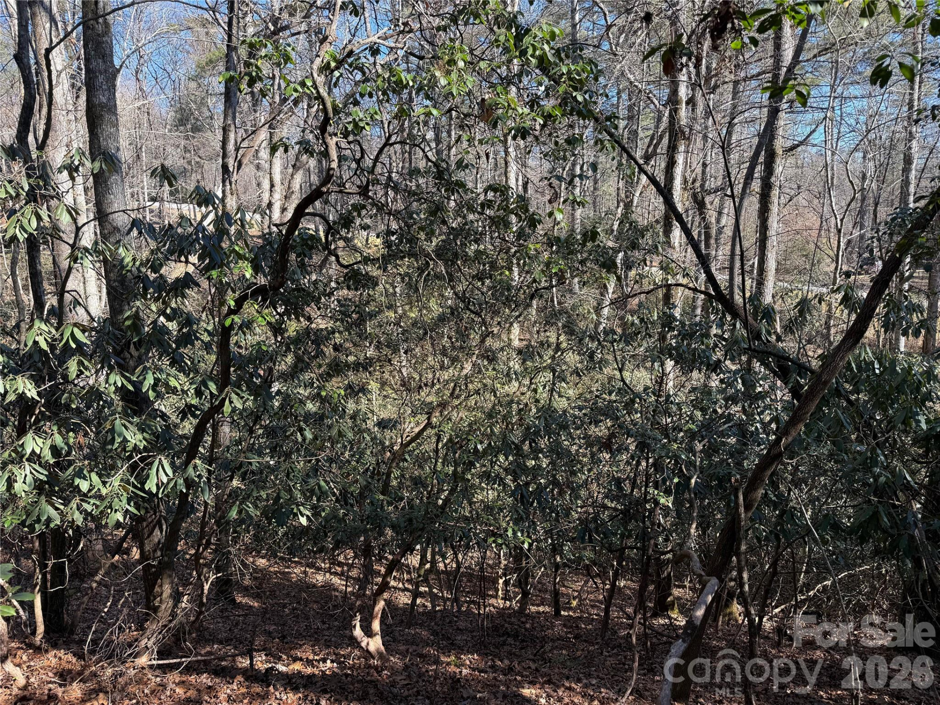 Lot 59 High Hemlock Trail - Photo 7