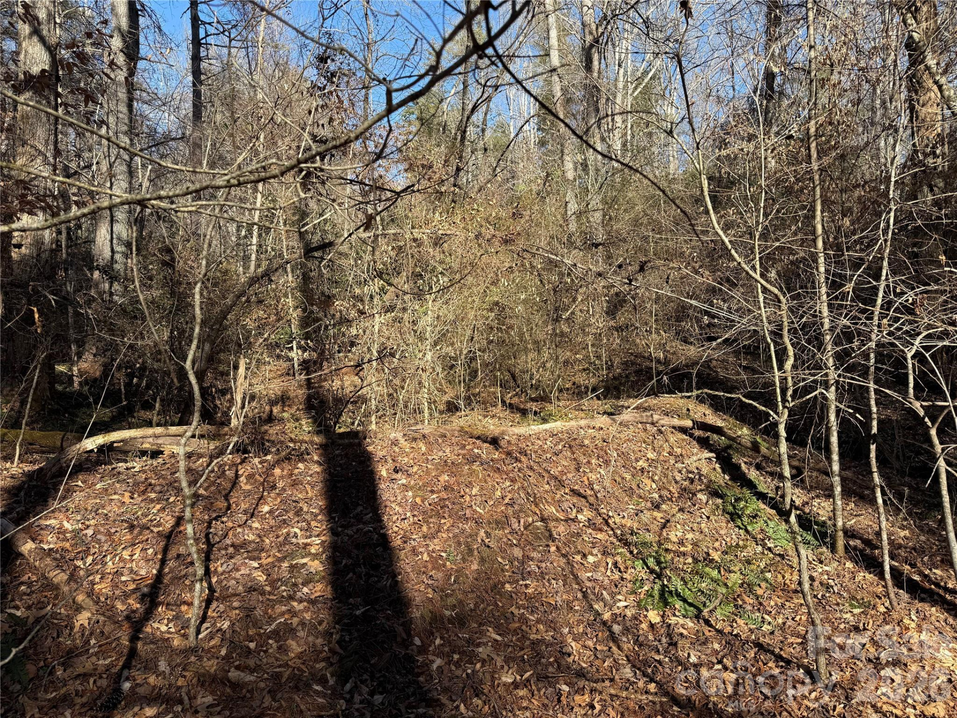 Lot 59 High Hemlock Trail - Photo 8