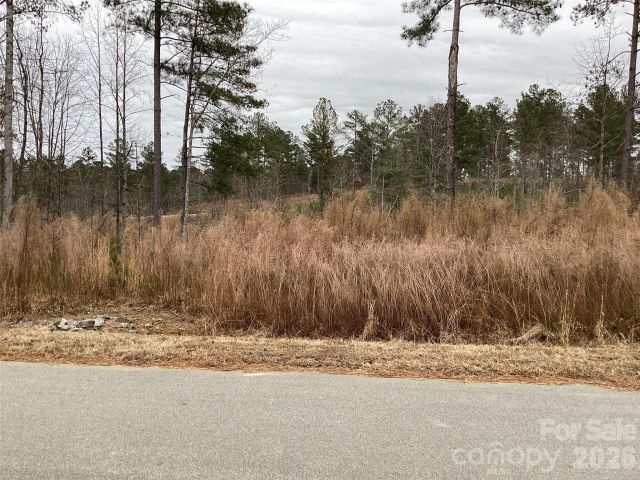 2146 Pikes Peak Ridge, Connelly Springs, NC, 28612