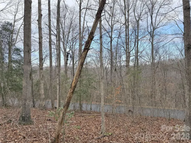 0000 Rambling Creek Drive, Tryon, NC, 28782