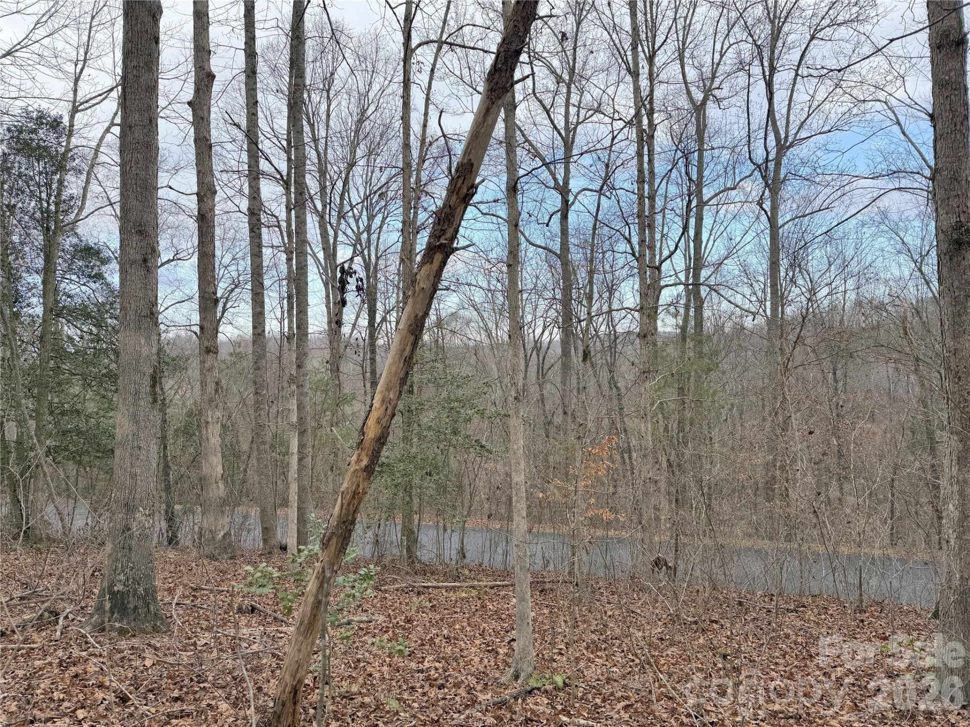 0000 Rambling Creek Drive #26