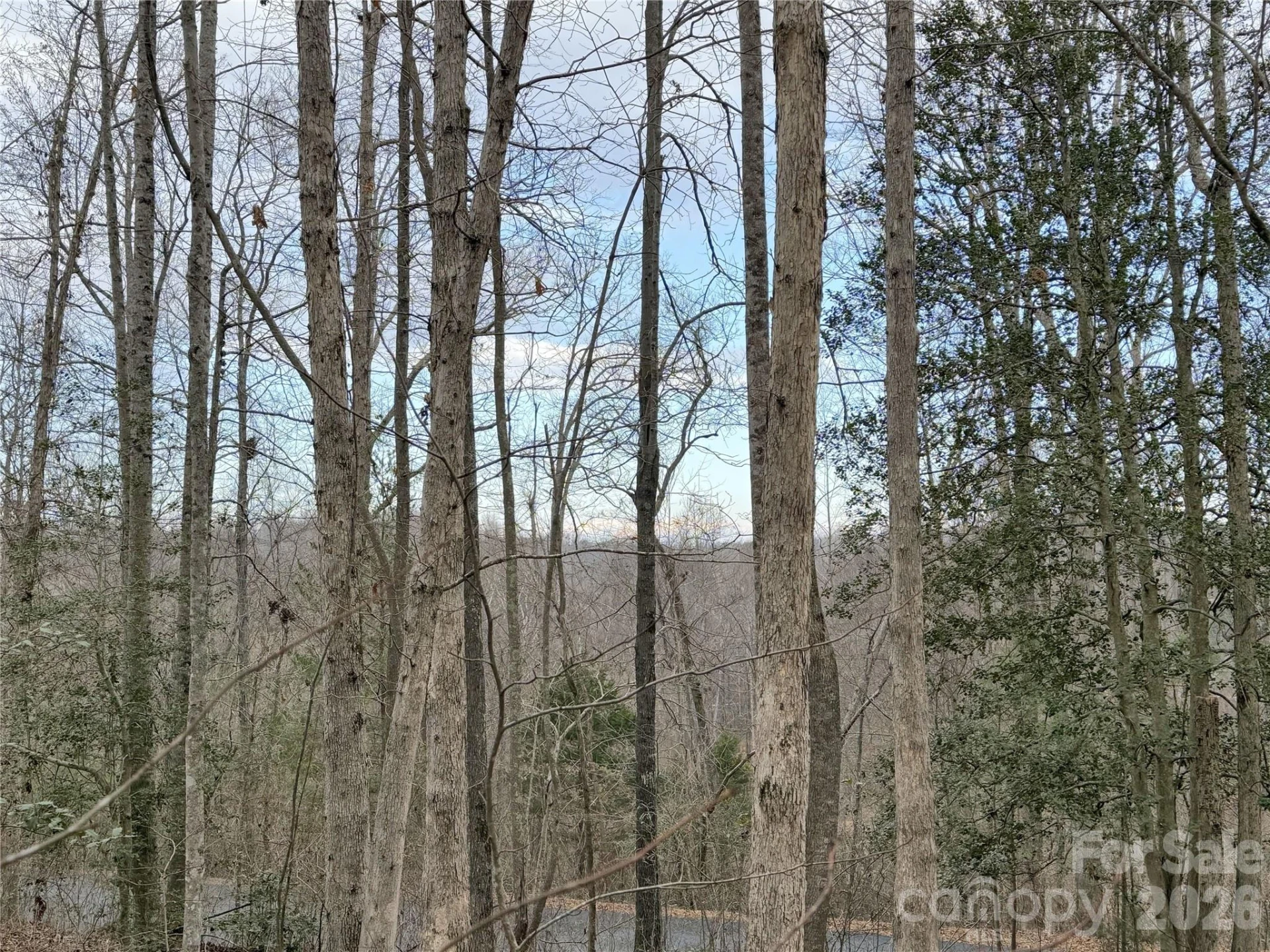 0000 Rambling Creek Drive #26 - Photo 2