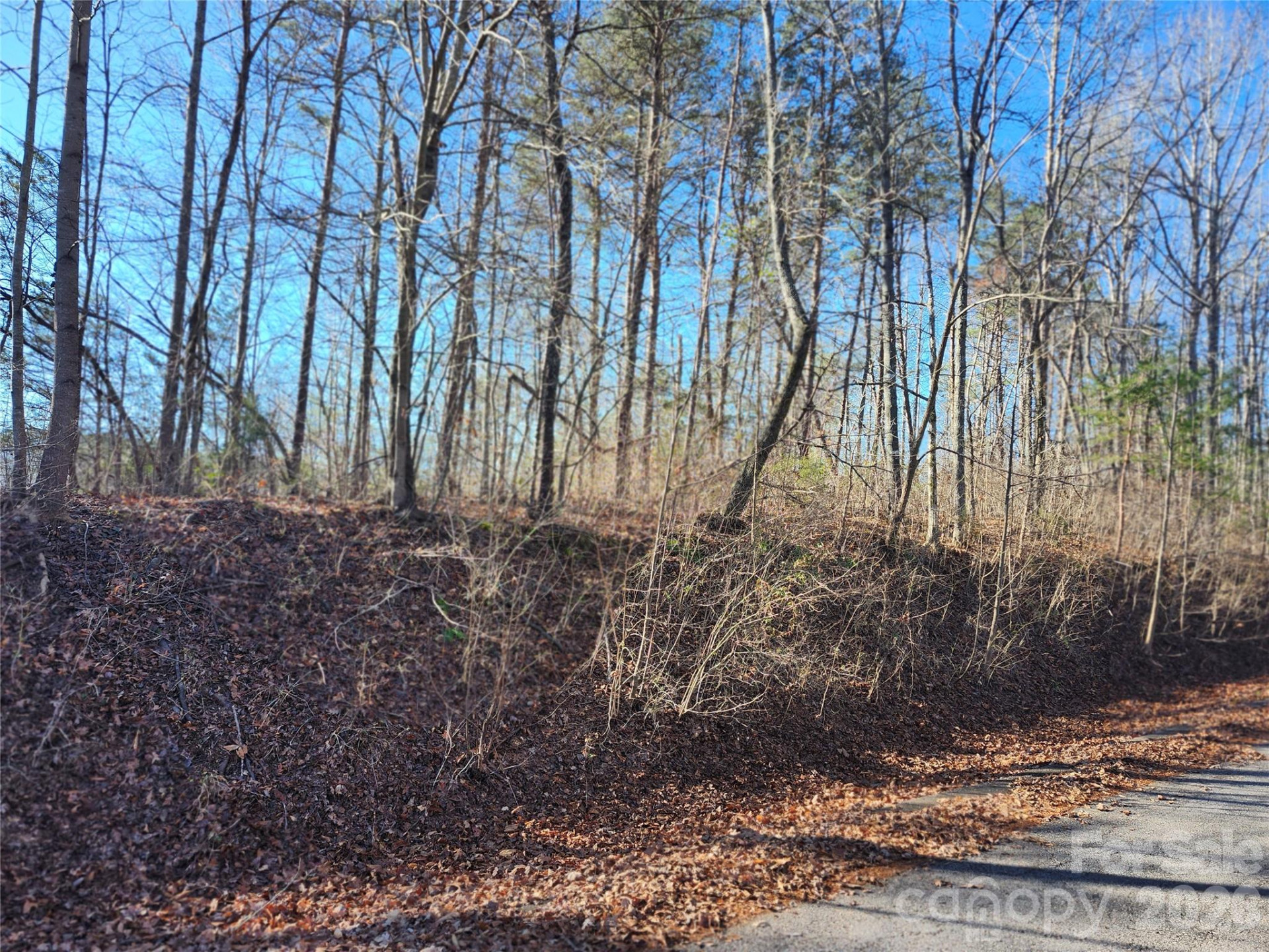 0000 Rambling Creek Drive #26 - Photo 4