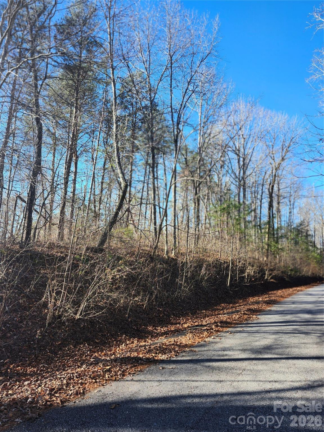 0000 Rambling Creek Drive #26 - Photo 5