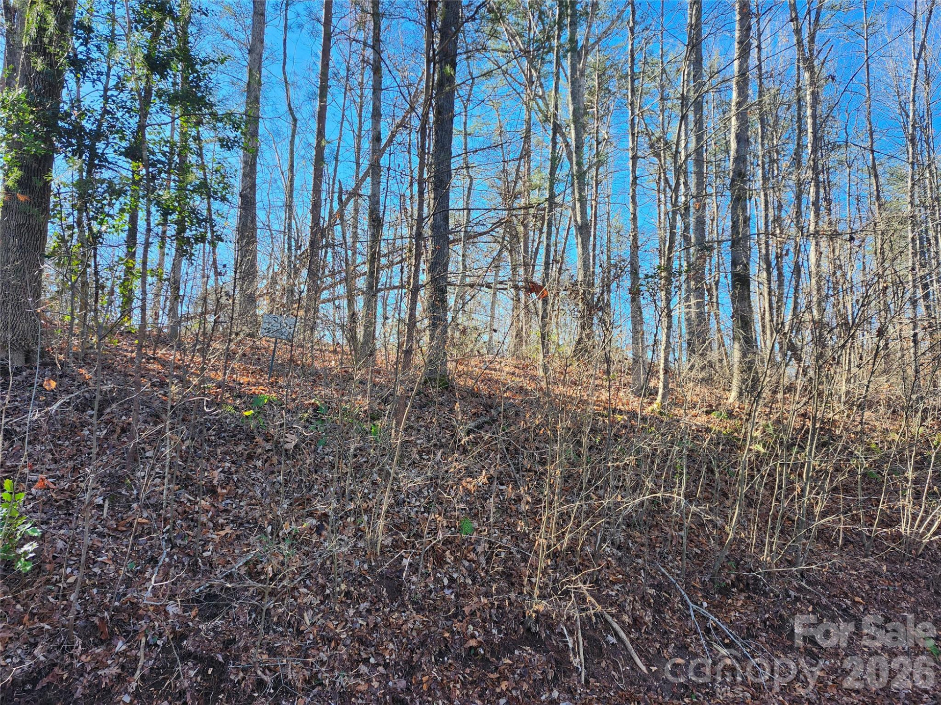 0000 Rambling Creek Drive #26 - Photo 6