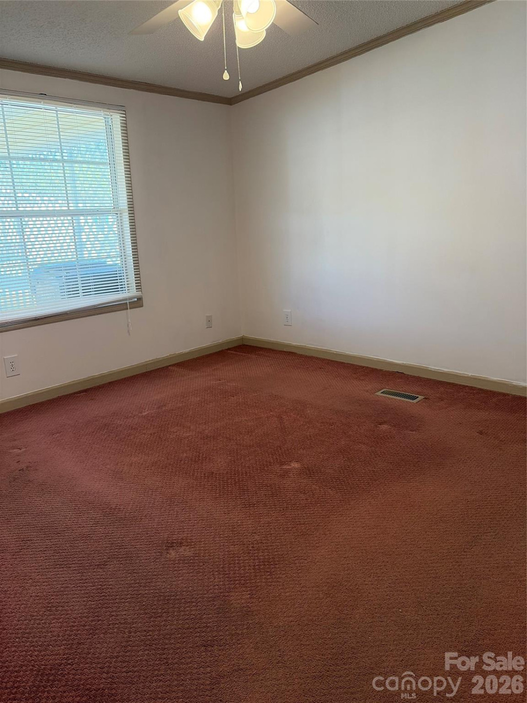 261 White Ash Circle - Photo 8