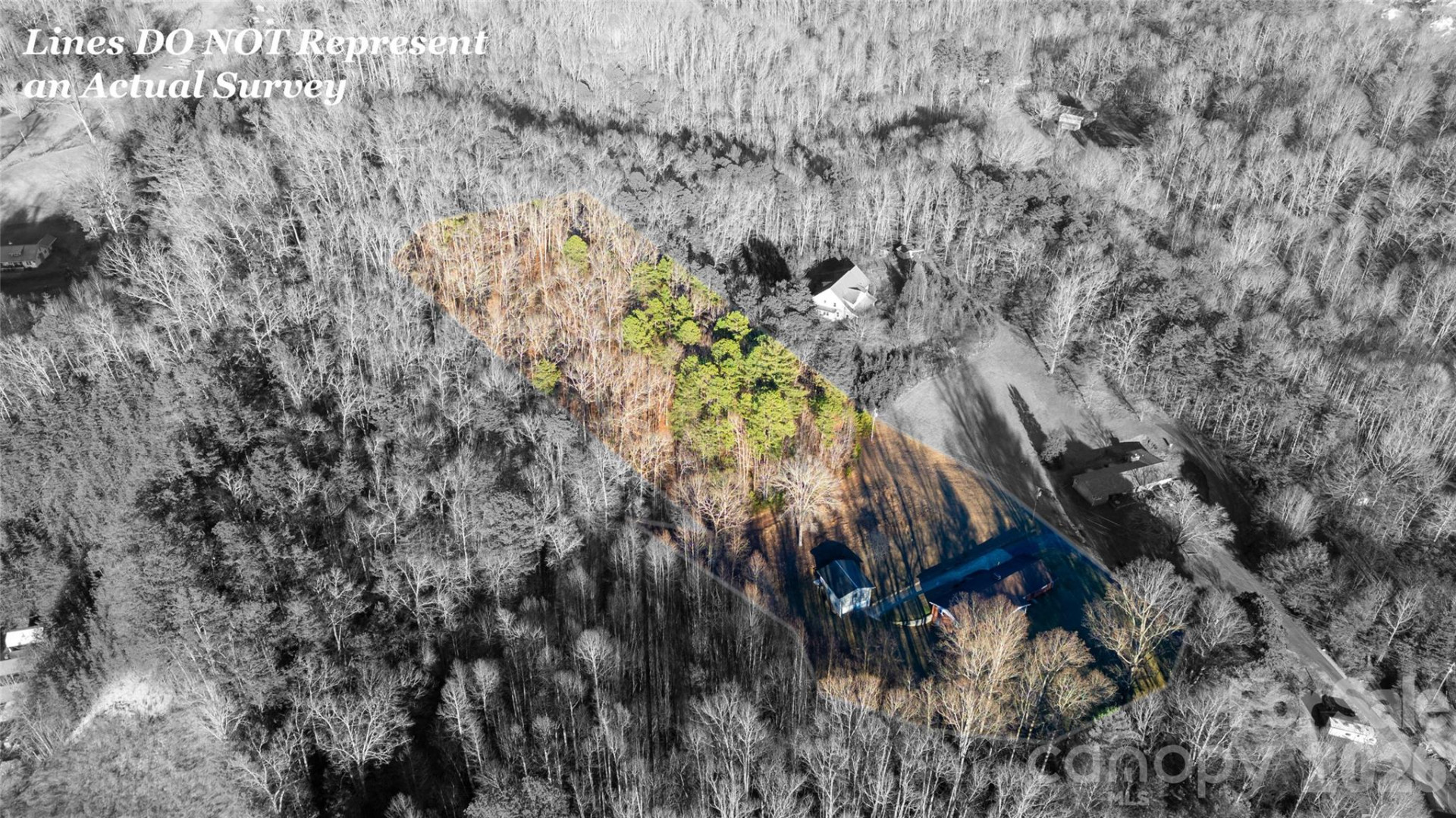 133 Harmony Hill - Photo 7