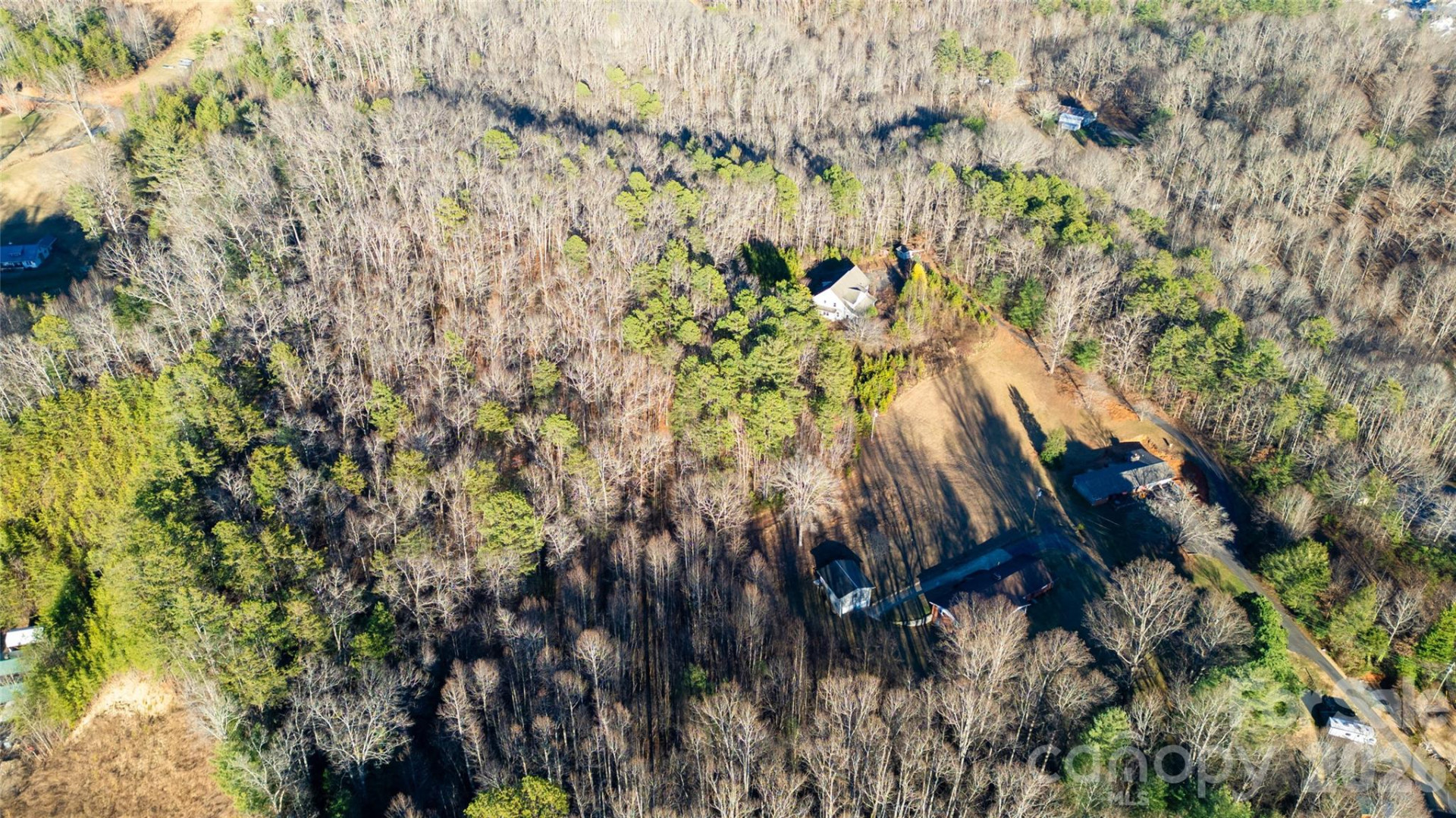 133 Harmony Hill - Photo 8