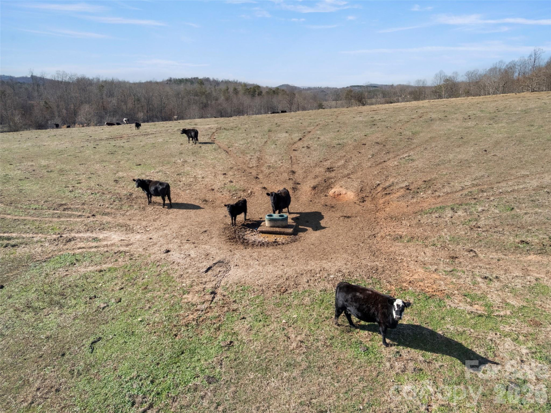 9999 Walker Road - Photo 12