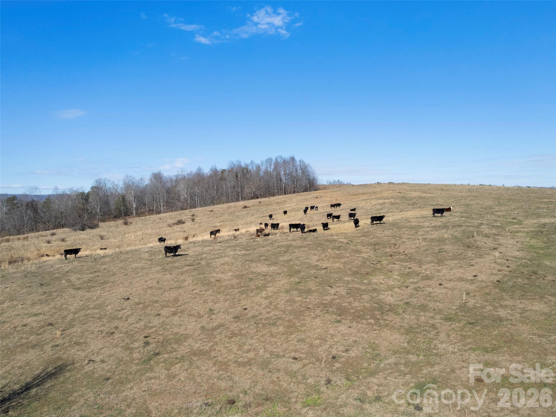 9999 Walker Road - Photo 22