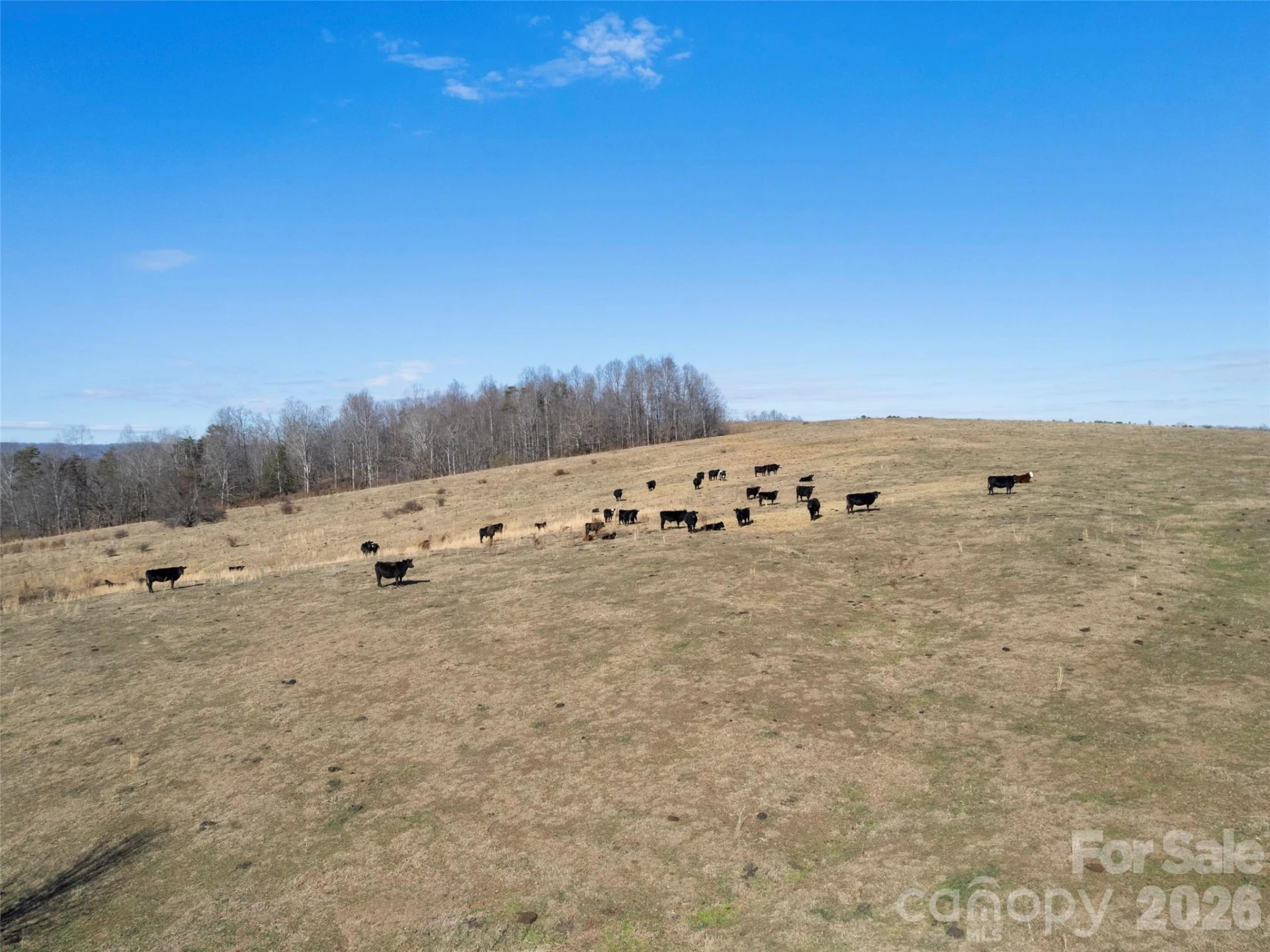 9999 Walker Road - Photo 22