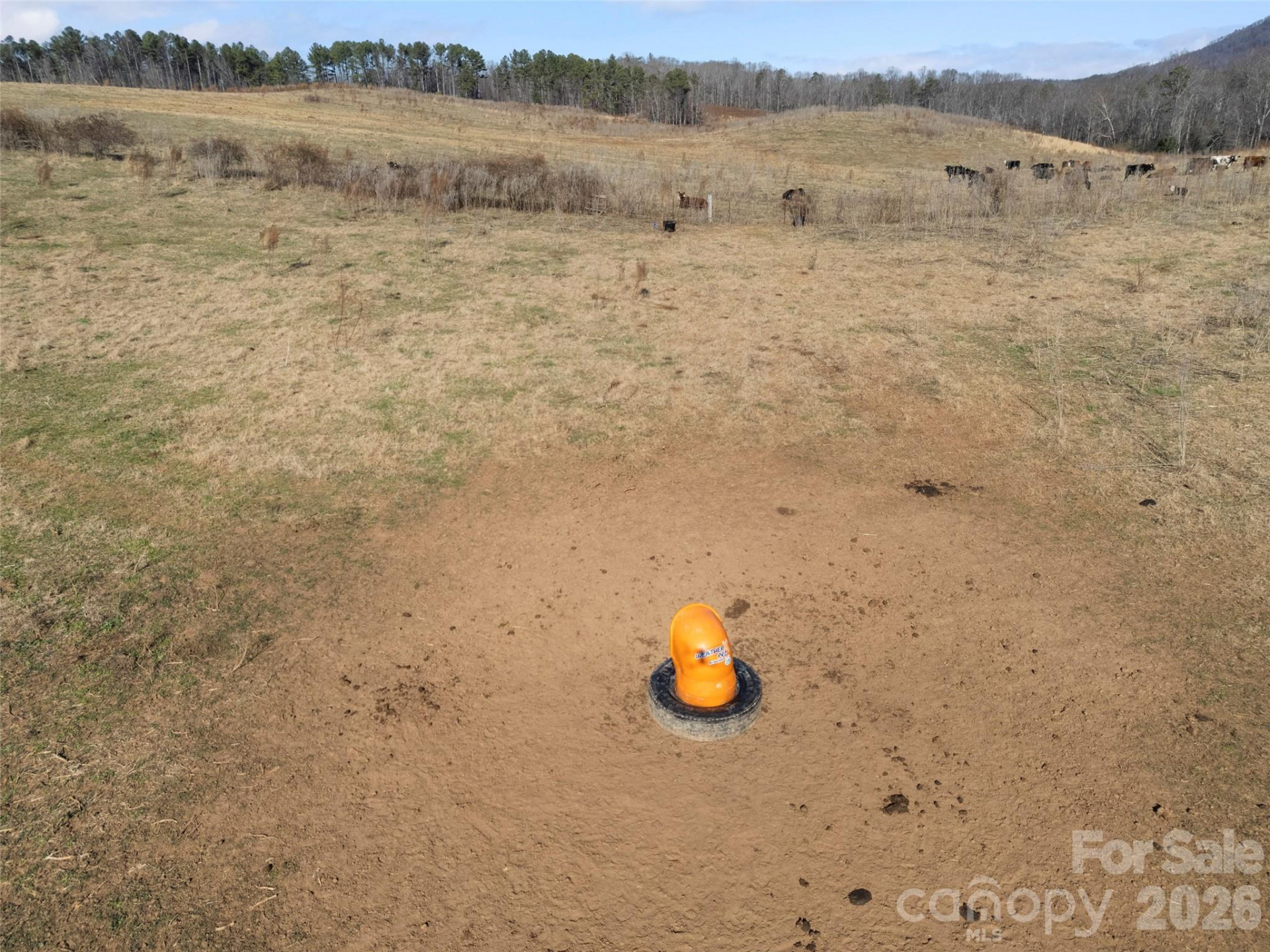 9999 Walker Road - Photo 23