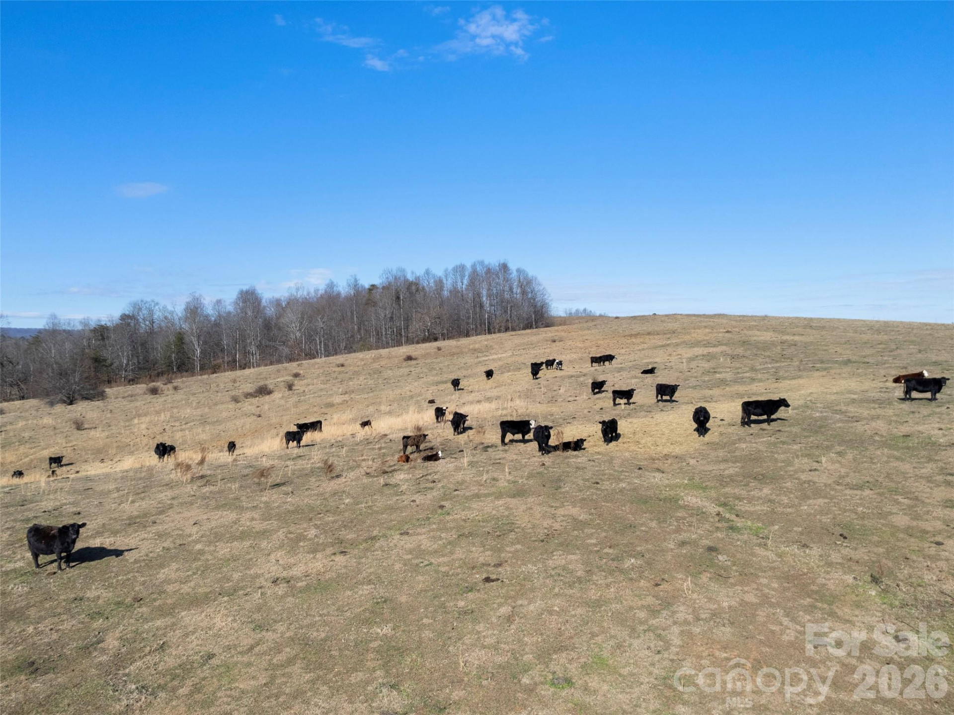 9999 Walker Road - Photo 10