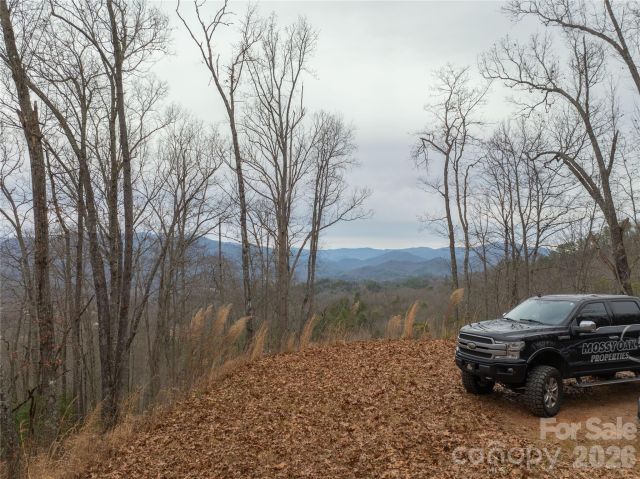 999 Breedlove Road, Bryson City, NC, 28713