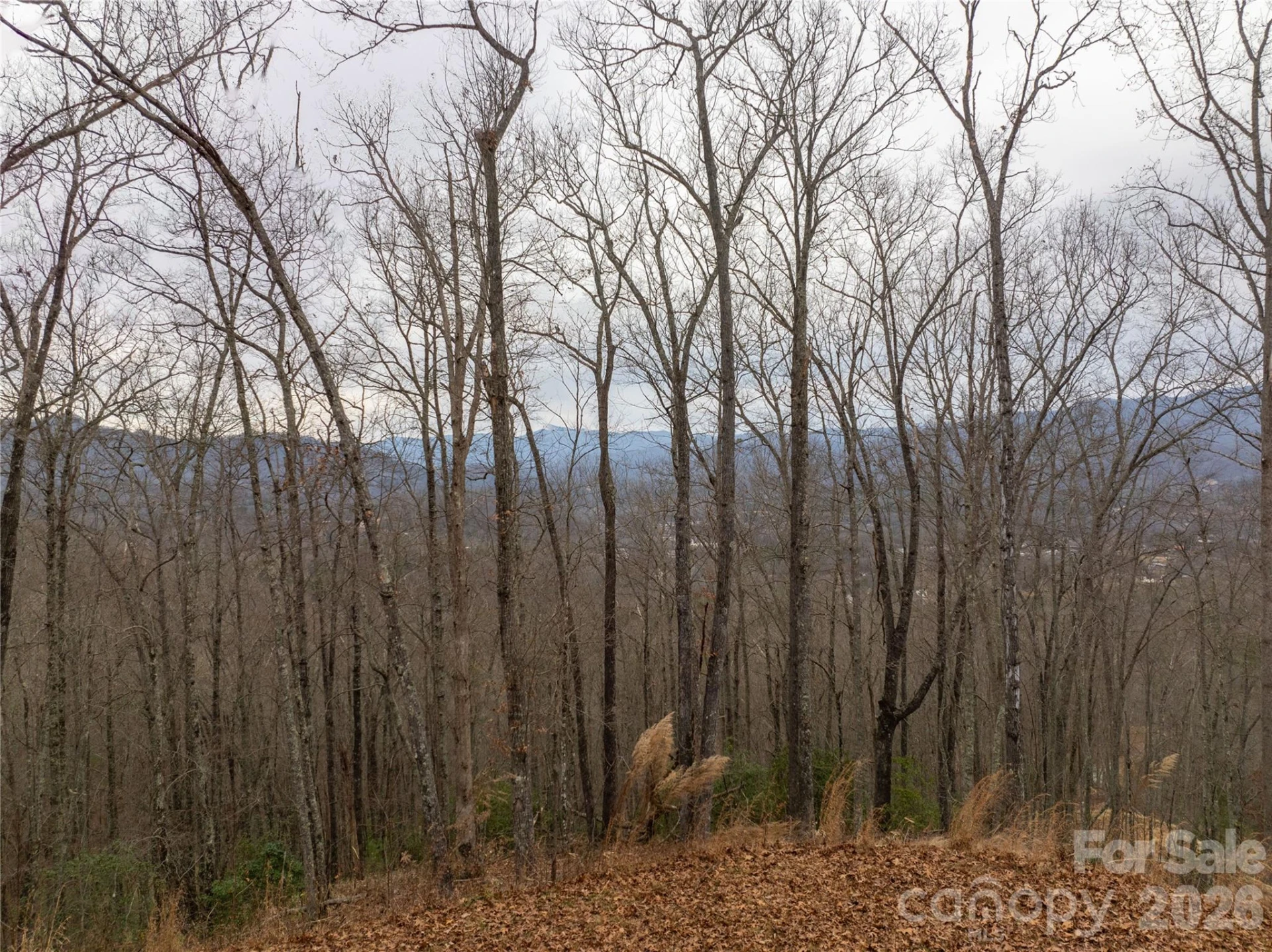999 Breedlove Road #2 - Photo 2