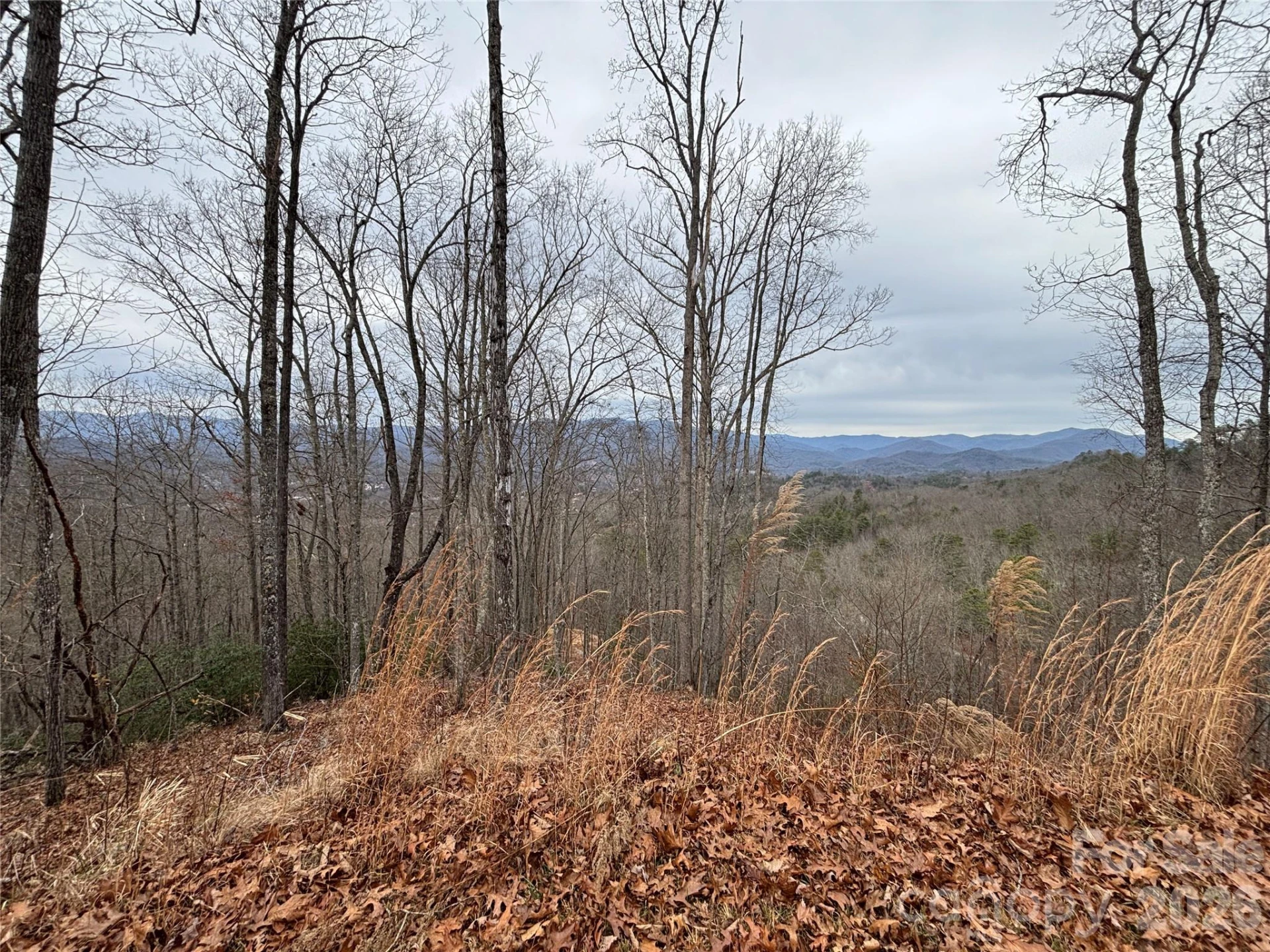 999 Breedlove Road #2 - Photo 13