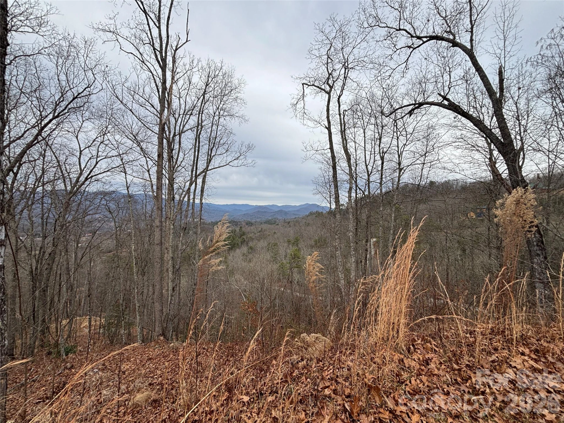 999 Breedlove Road #2 - Photo 14